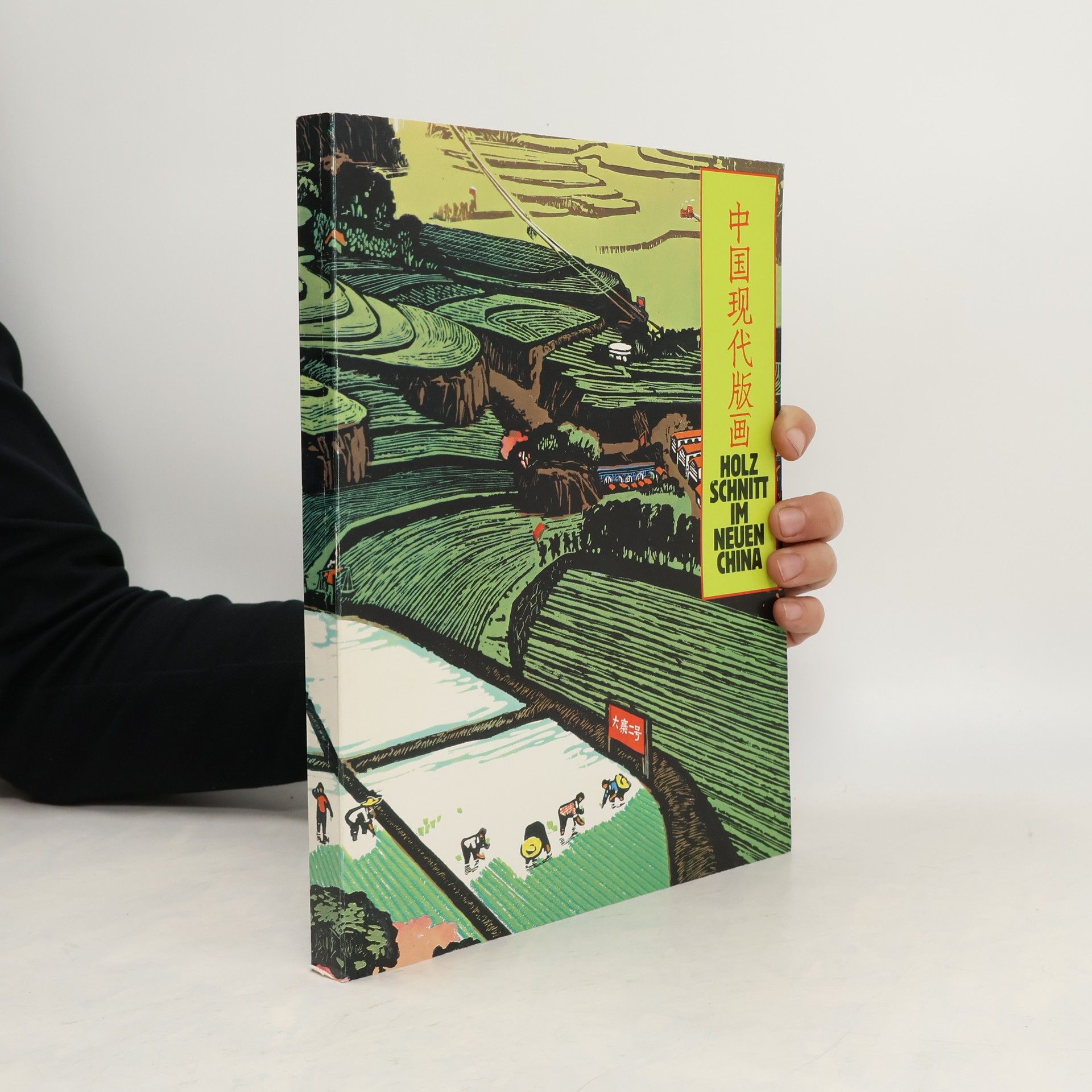 Autorenkollektiv Holzschnitt im neuen China