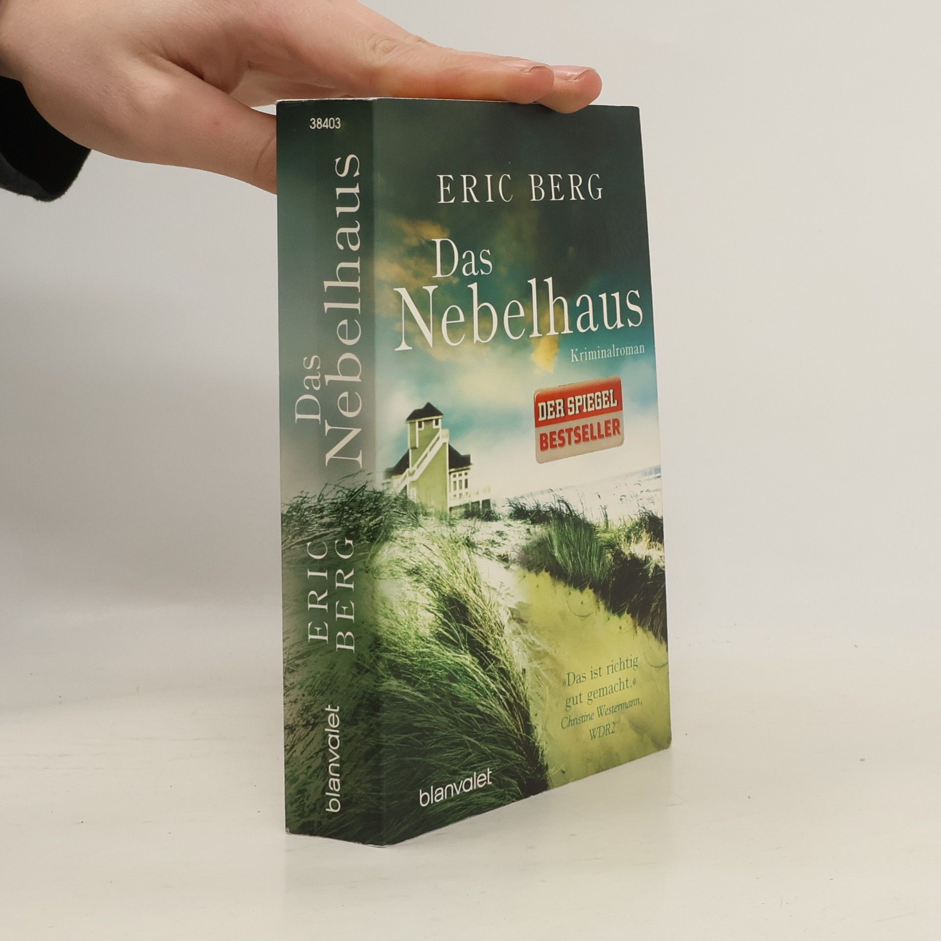 Eric Berg Das Nebelhaus