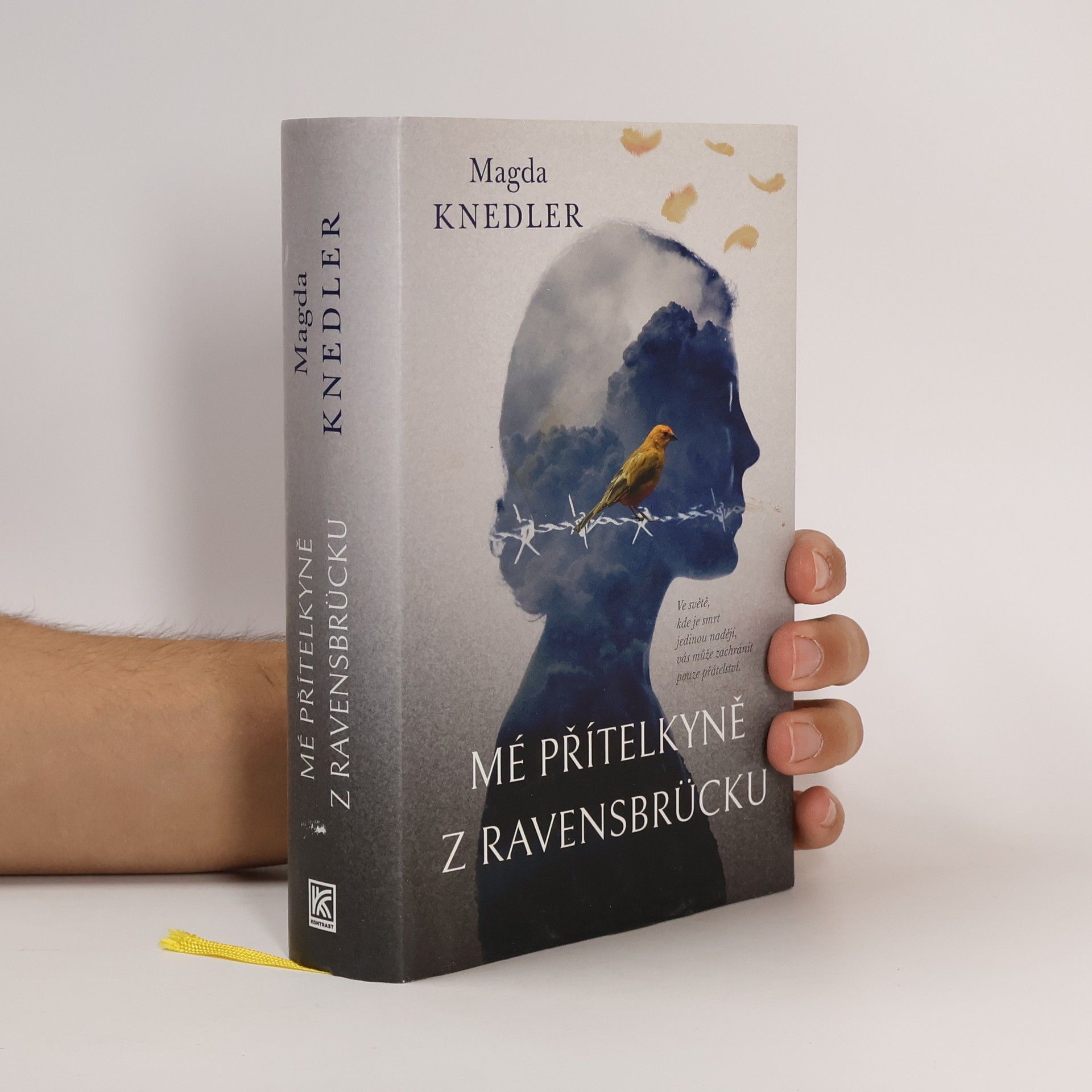 Mé přítelkyně z Ravensbrücku