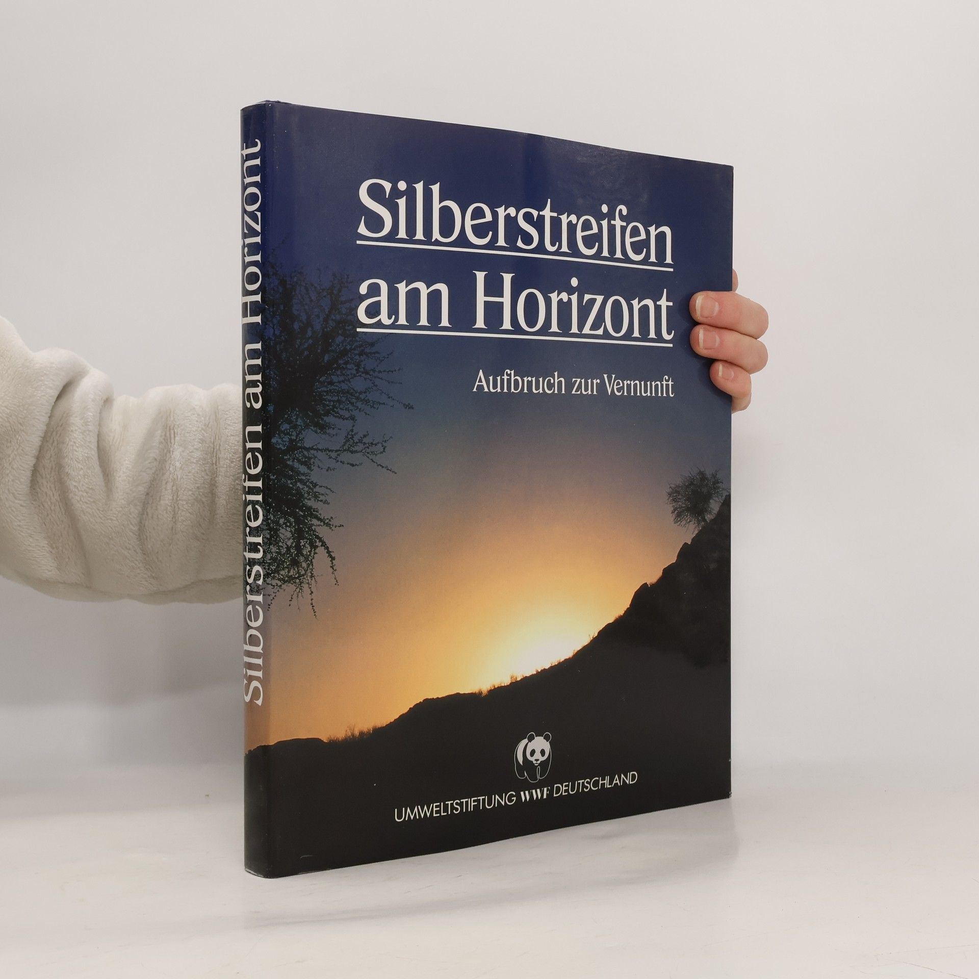 Autorenkollektiv Silberstreifen am Horizont