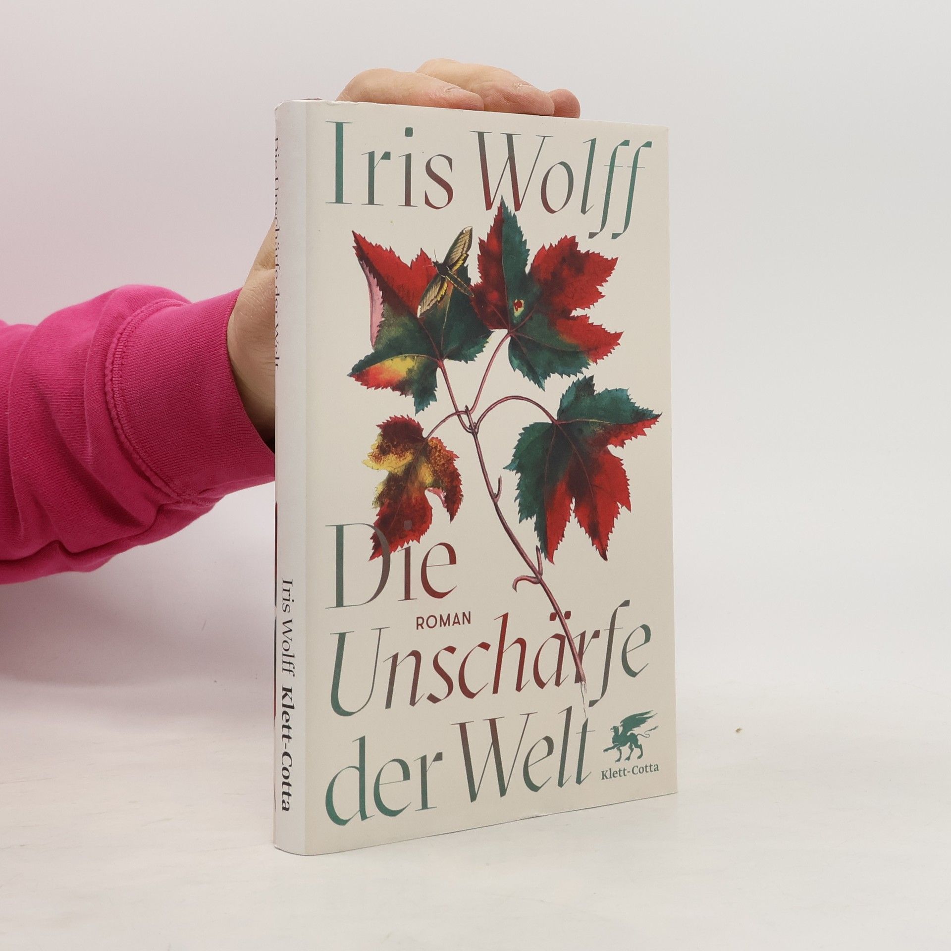 Iris Wolff Die Unschärfe der Welt