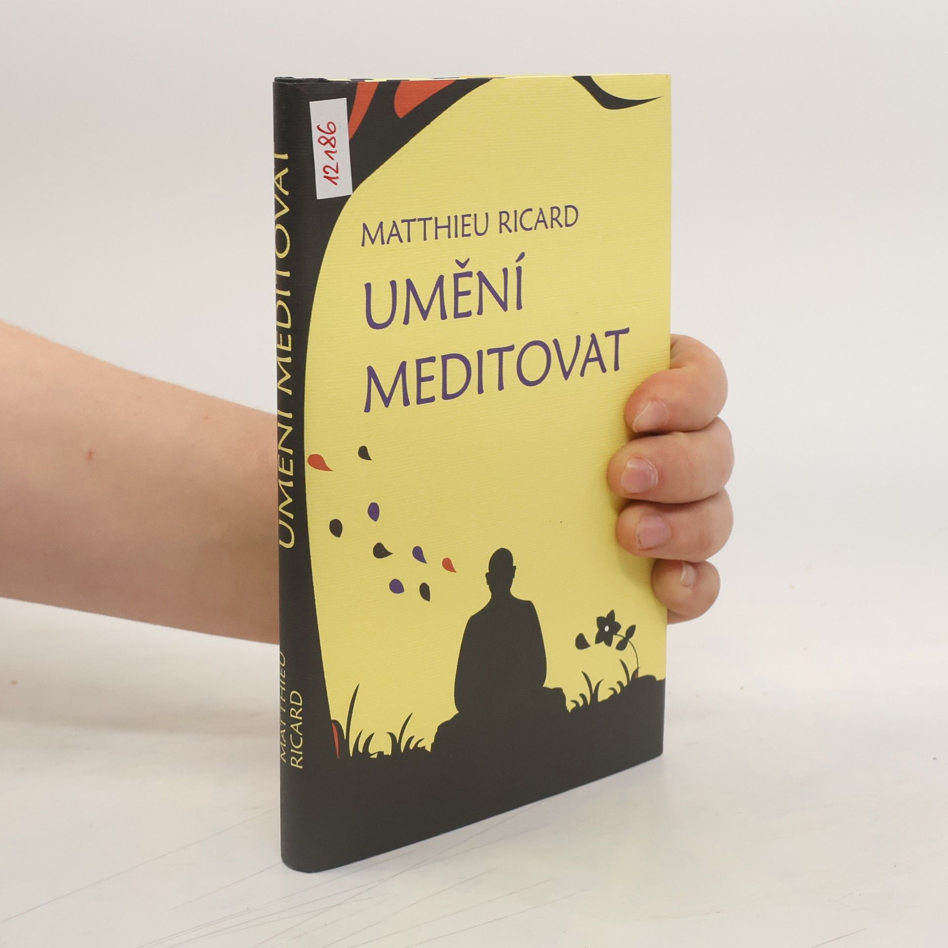 Ricard Matthieu Umění meditovat