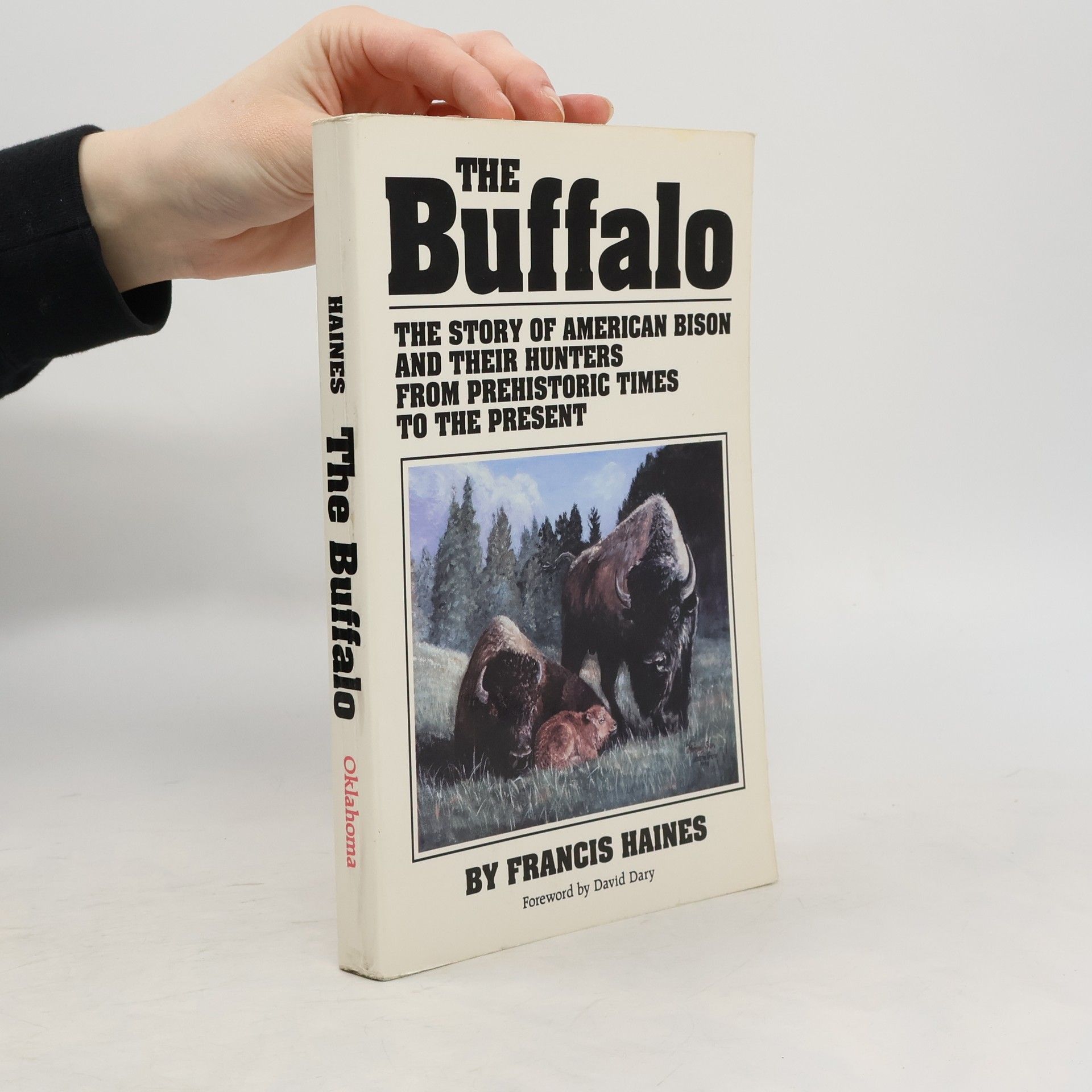 Francis Haines The Buffalo