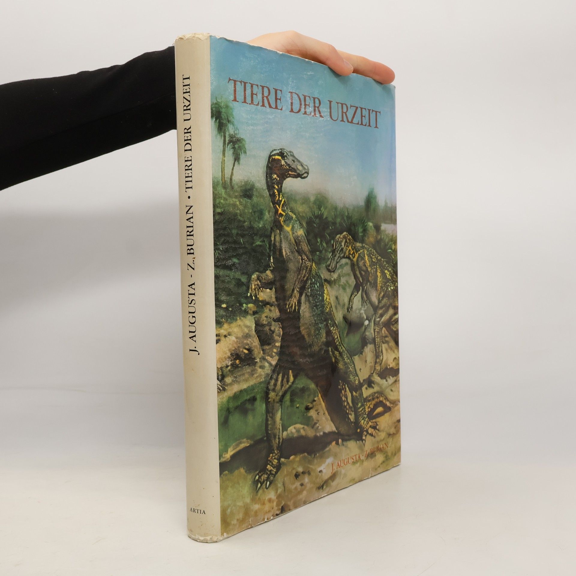 Kolektiv autorů Tiere der urzeit