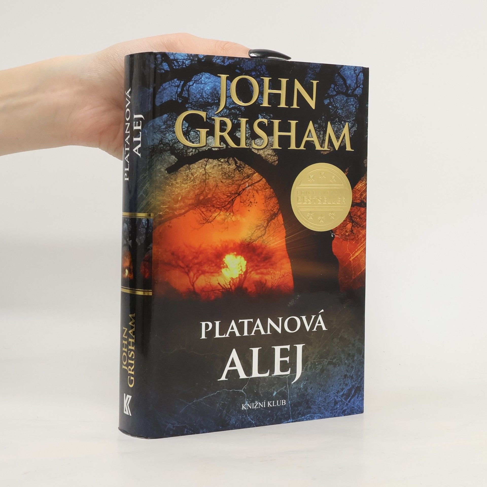John Grisham Platanová alej