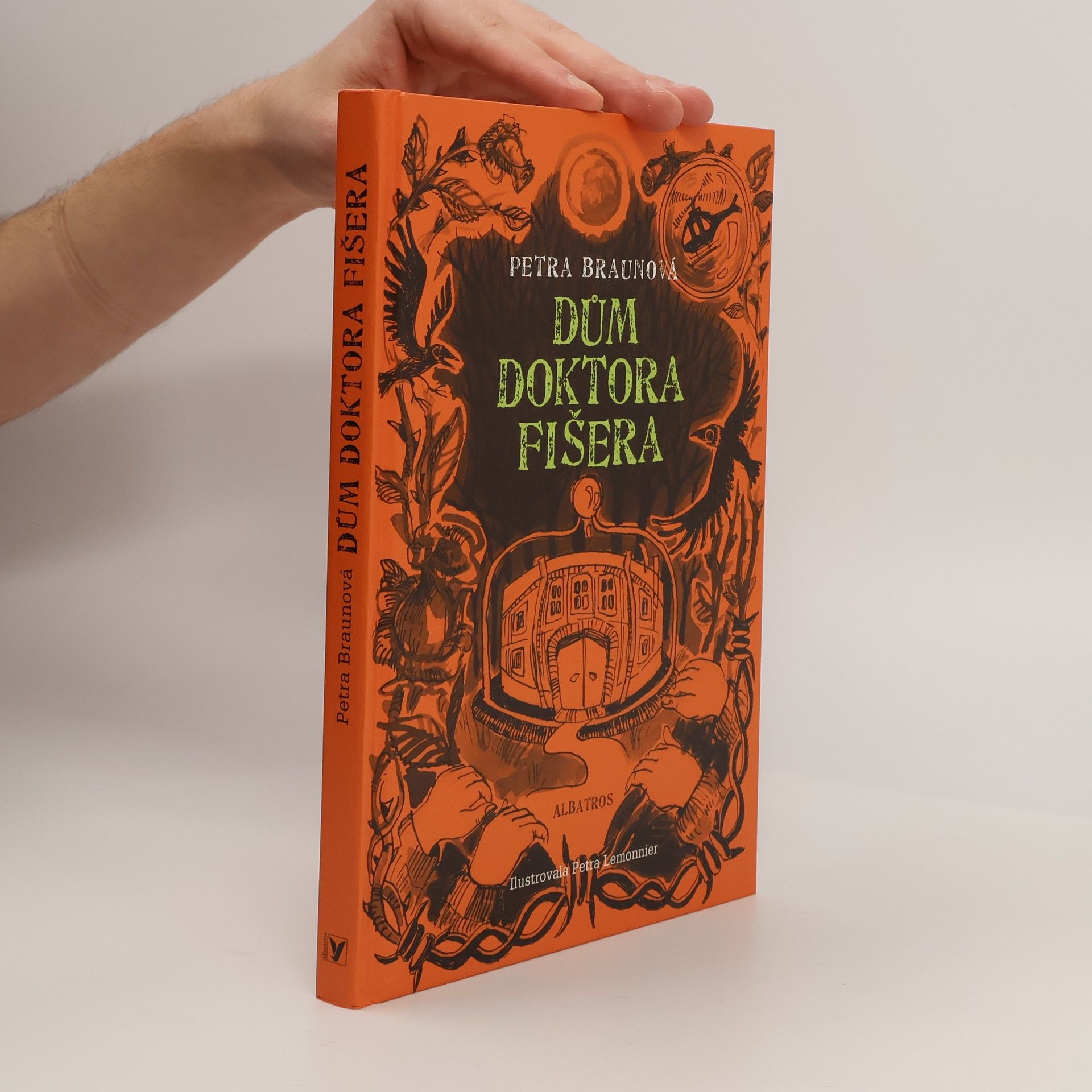 Petra Braun Groh Dům doktora Fišera