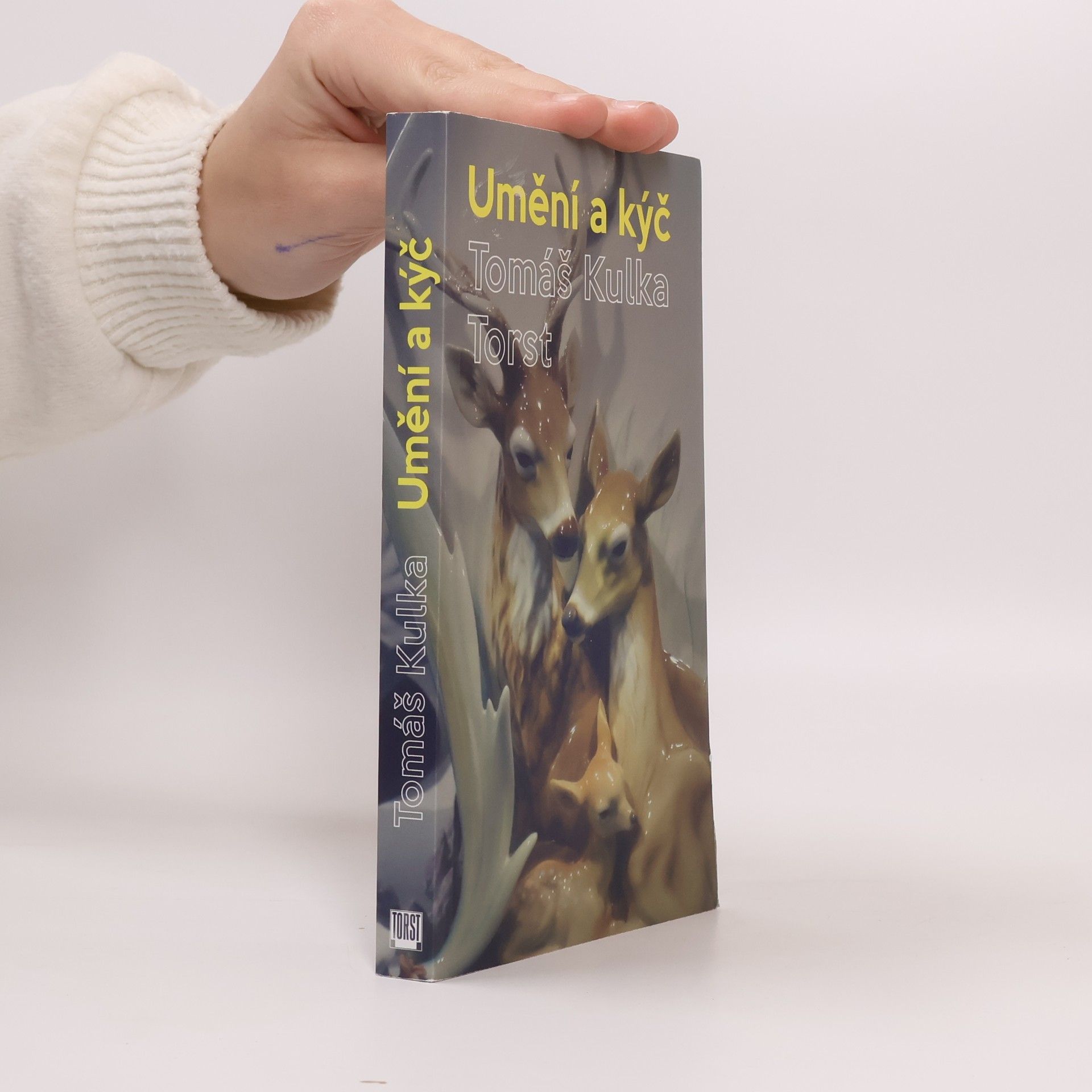 Tomáš Kulka Umění a kýč