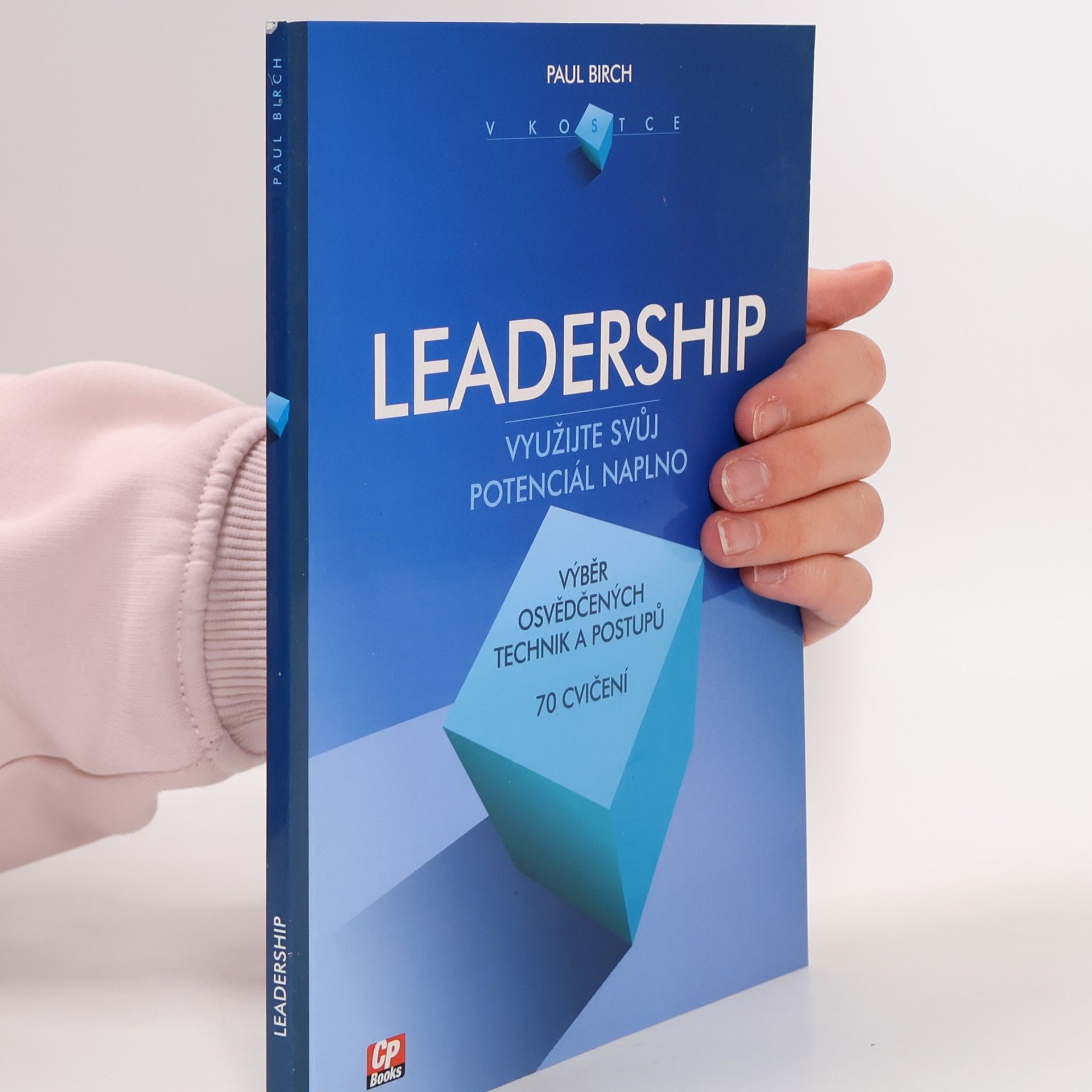 Paul Birch Leadership v kostce