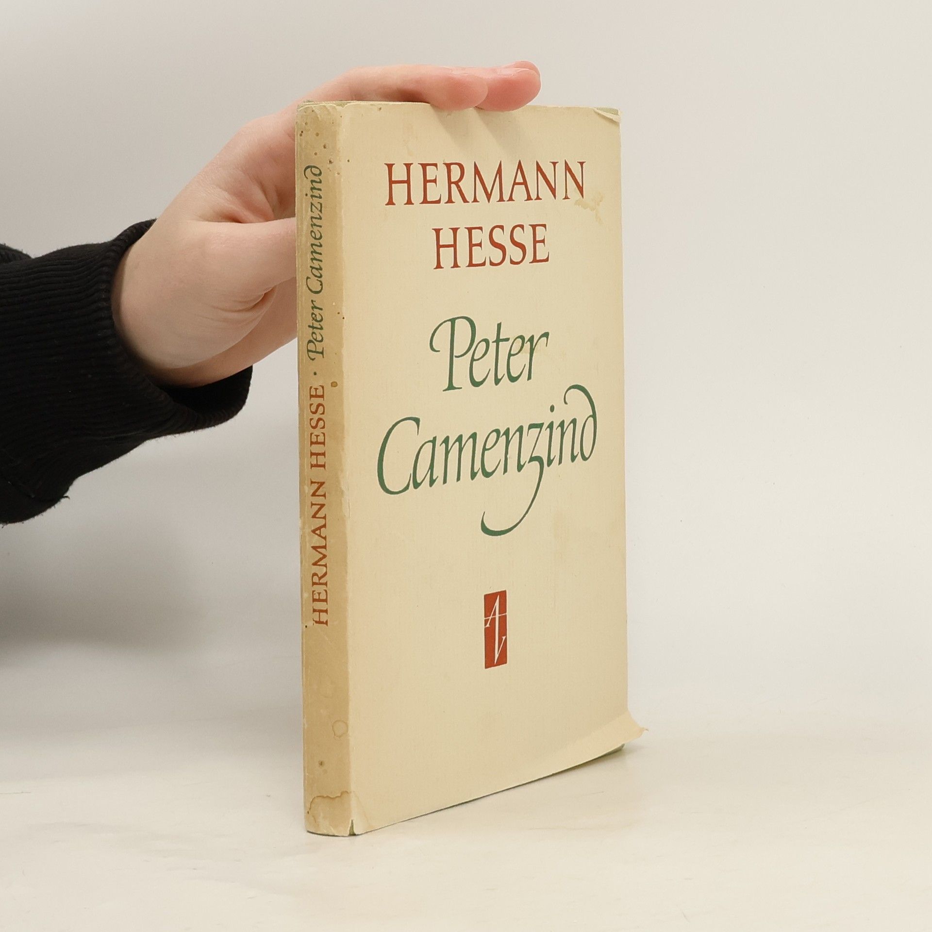 Hermann Hesse Peter Camenzind
