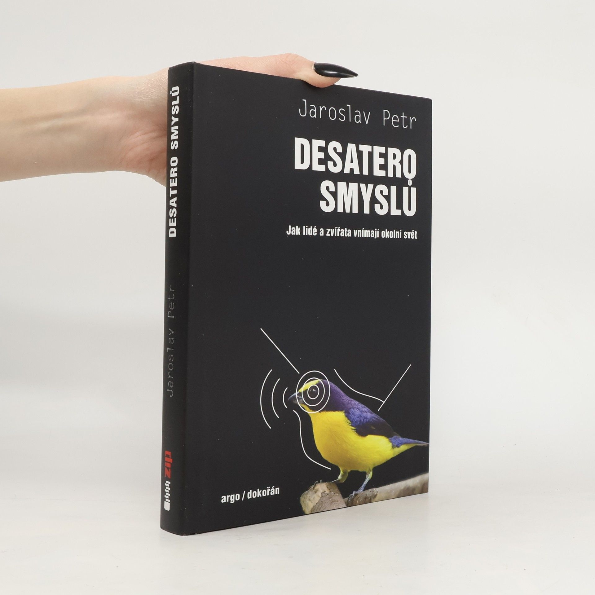 Jaroslav Petr Desatero smyslů