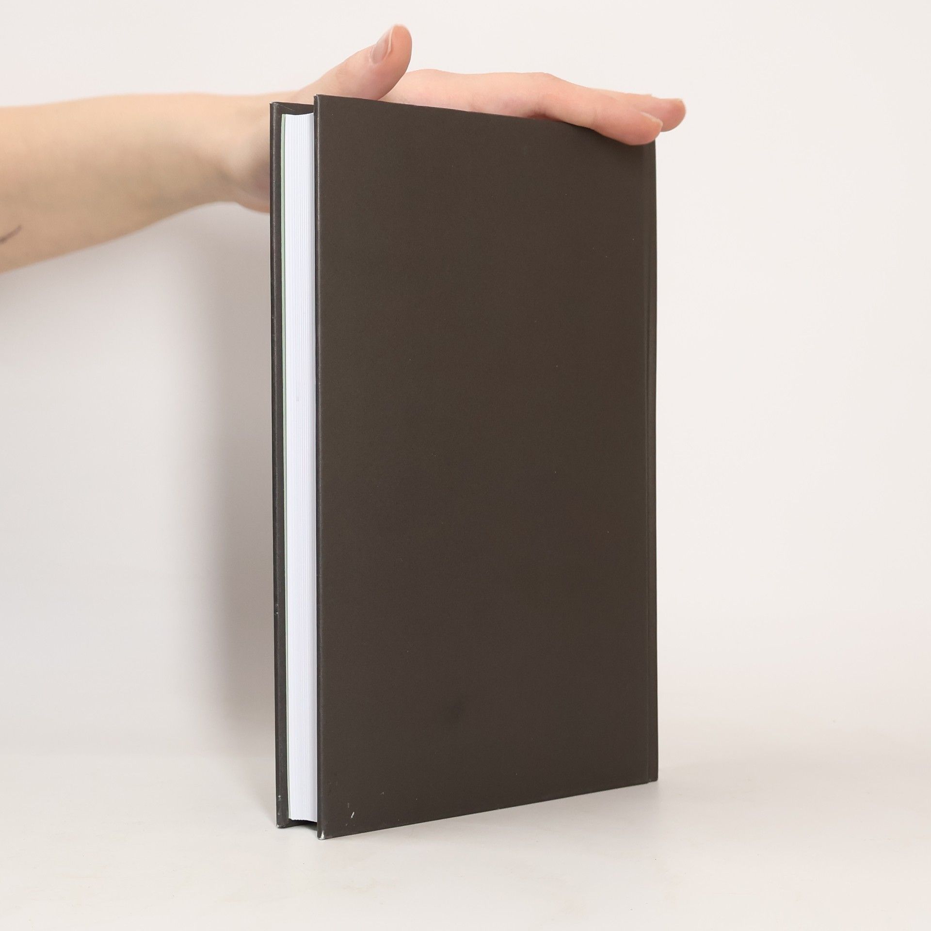 Bjørn Lomborg Falešný poplach. Proč nás klimatická panika stojí tisíce miliard, škodí chudým a planetě nepomáhá