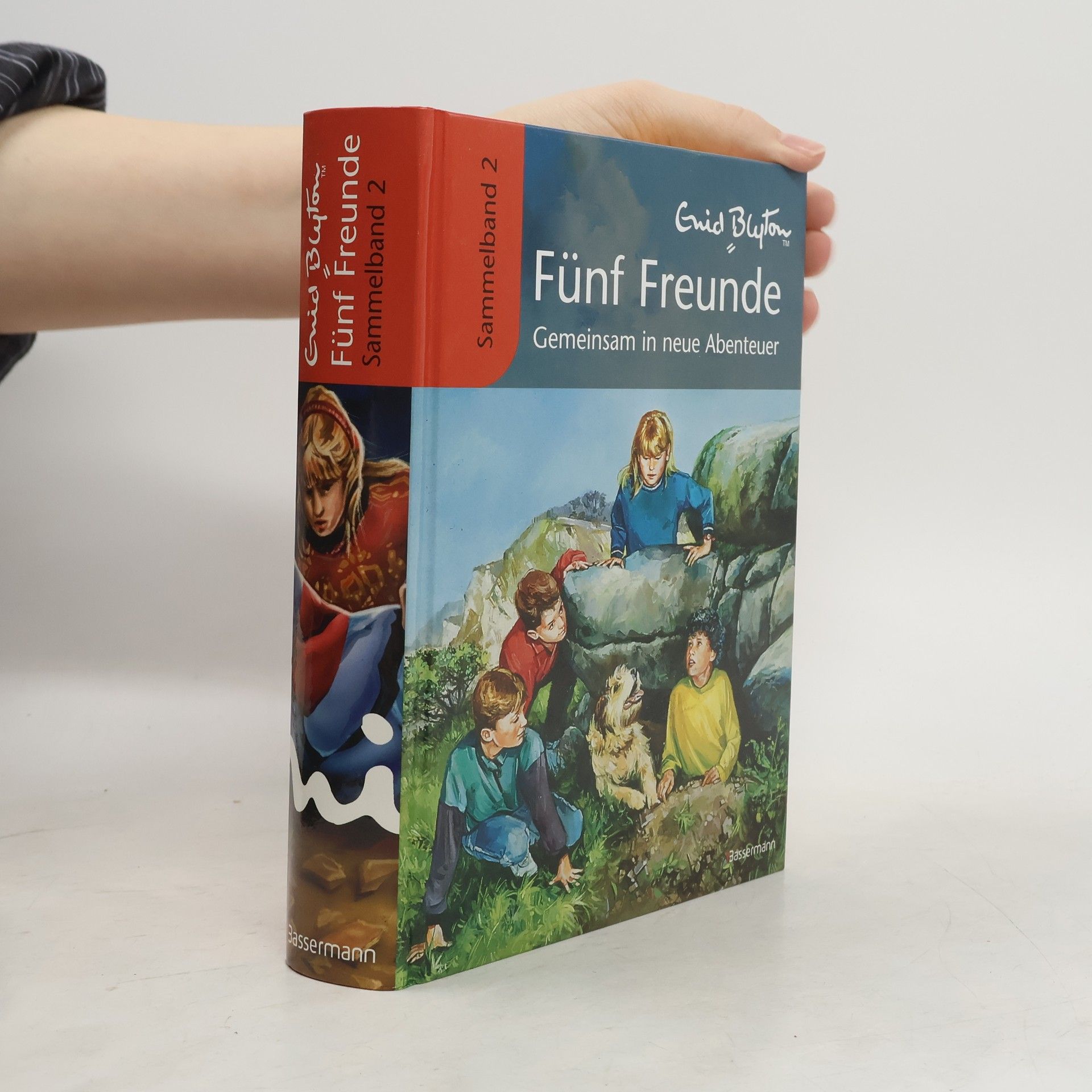 Werner Lincke Fünf Freunde