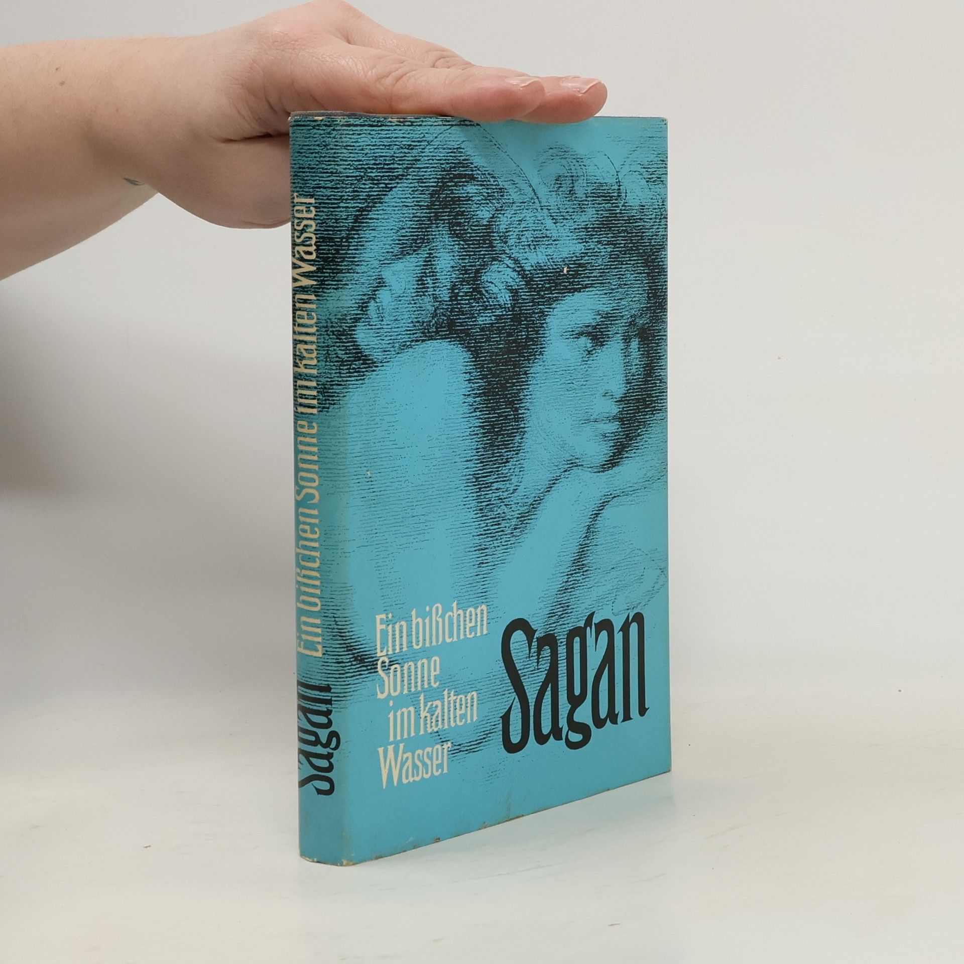 Françoise Sagan Ein bißchen Sonne im kalten Wasser