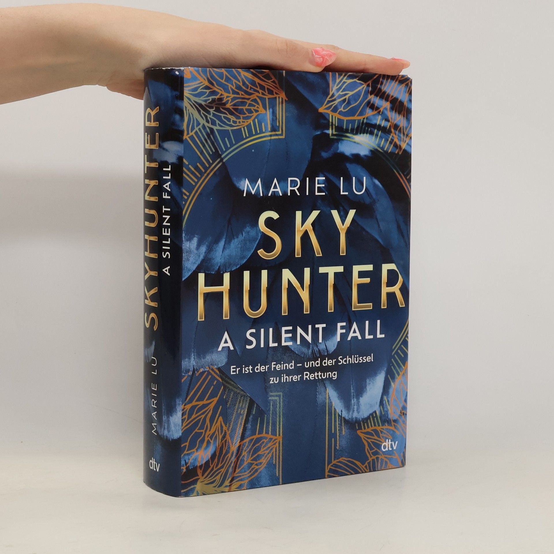 Skyhunter - A Silent Fall