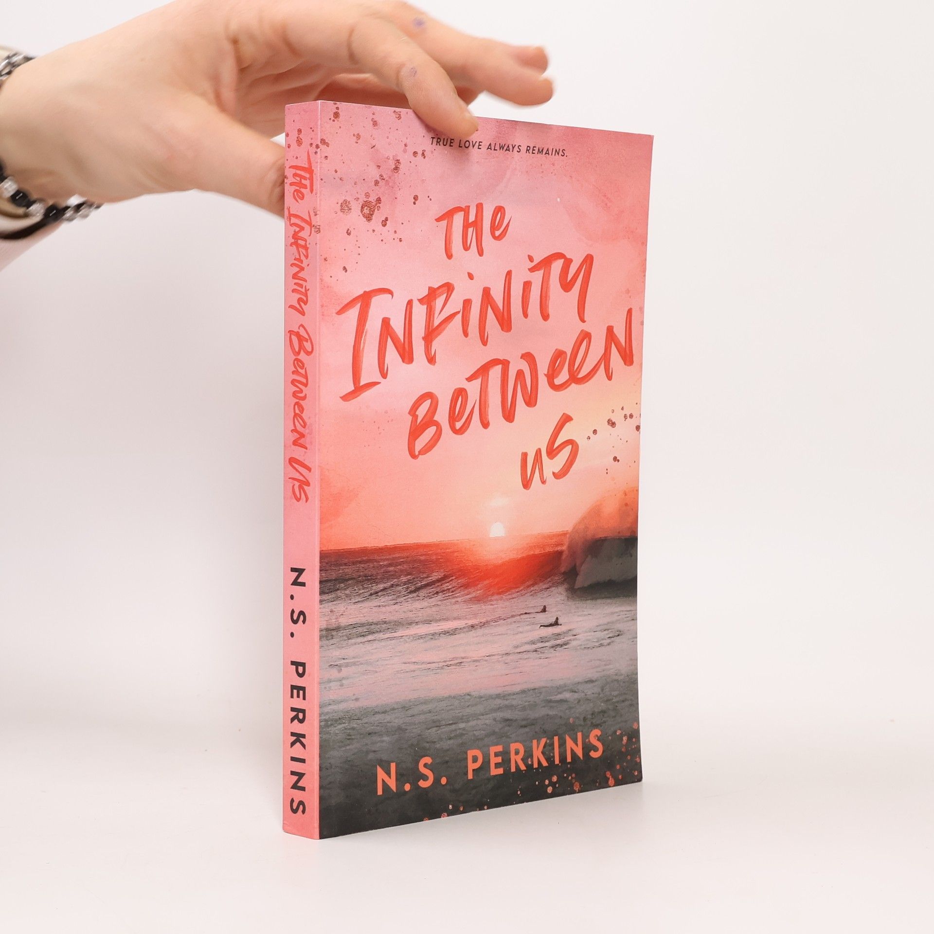 N. S. Perkins The Infinity Between Us