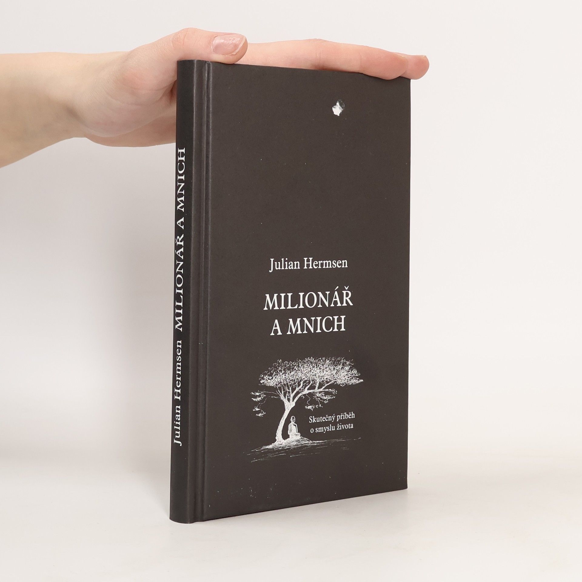 Michaela Škultéty Milionář a mnich. Skutečný příběh o smyslu života