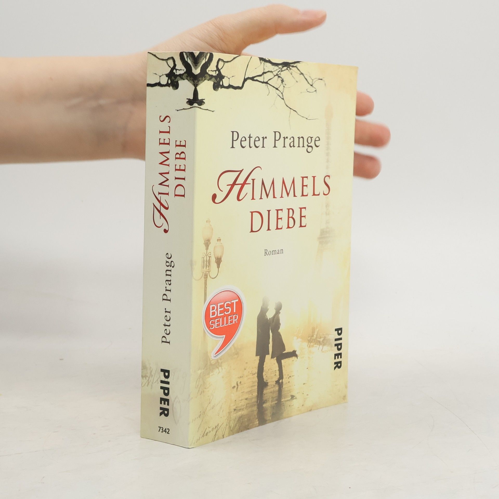 Peter Prange Himmels Diebe