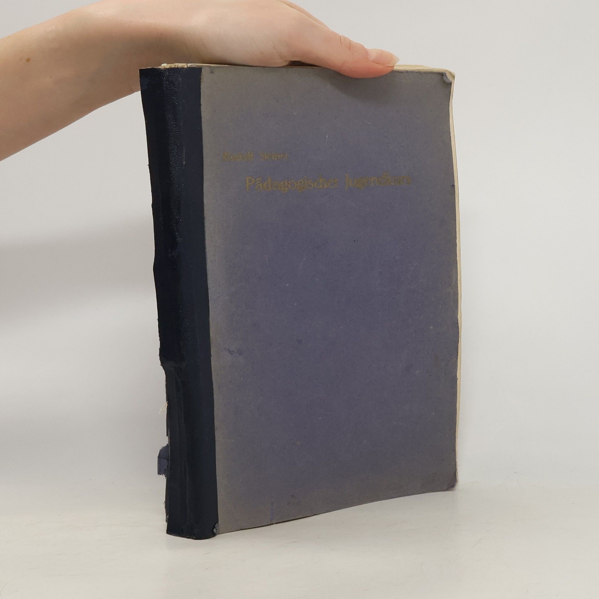 Dr. Rudolf Steiner Pädagogischer Jugendkurs