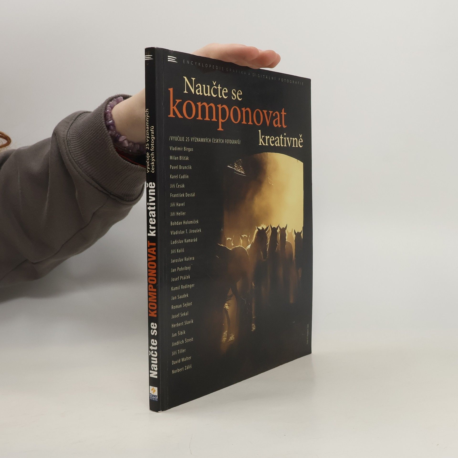 Vladimír Birgus Naučte se komponovat kreativně