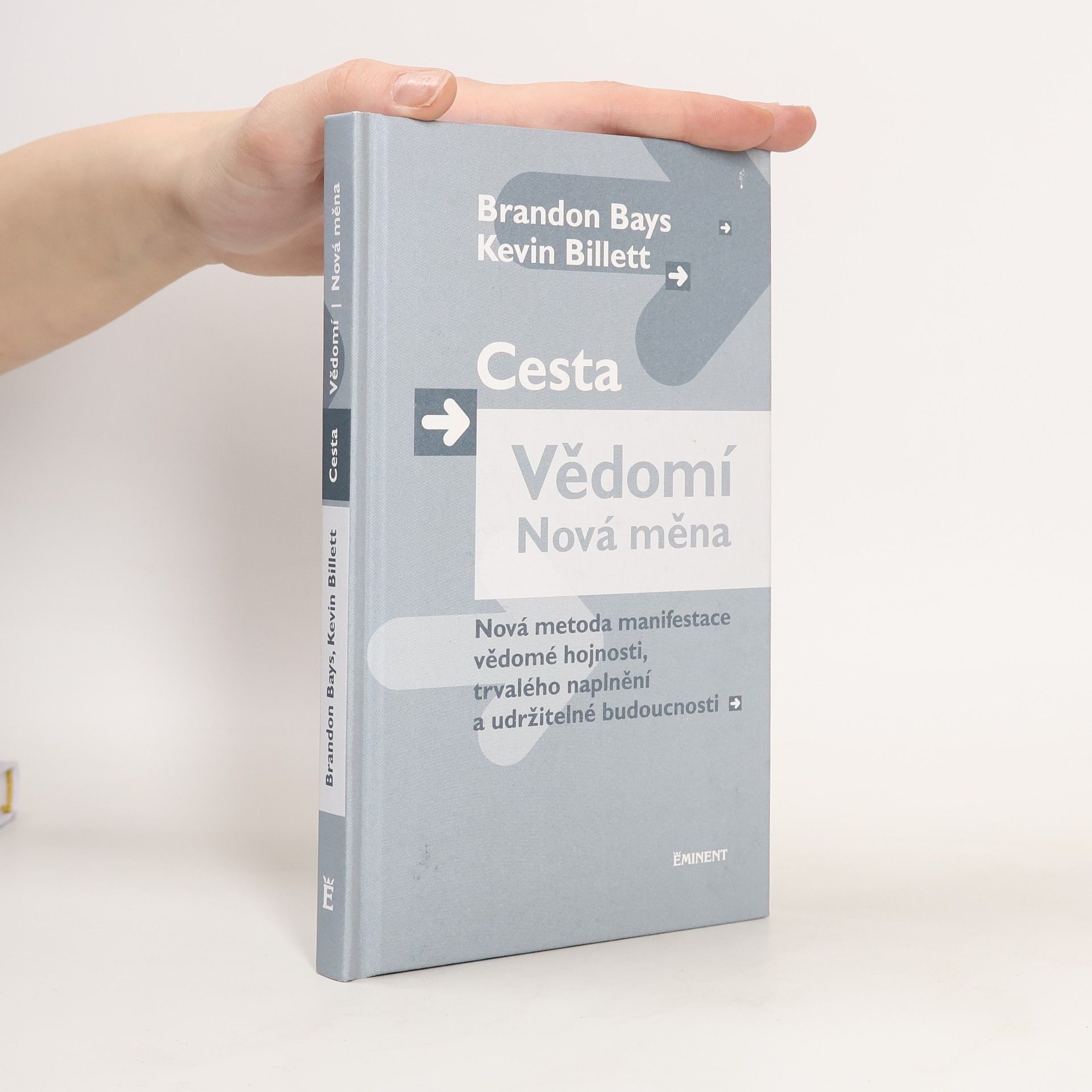 Brandon Bays Cesta, vědomí, nová měna