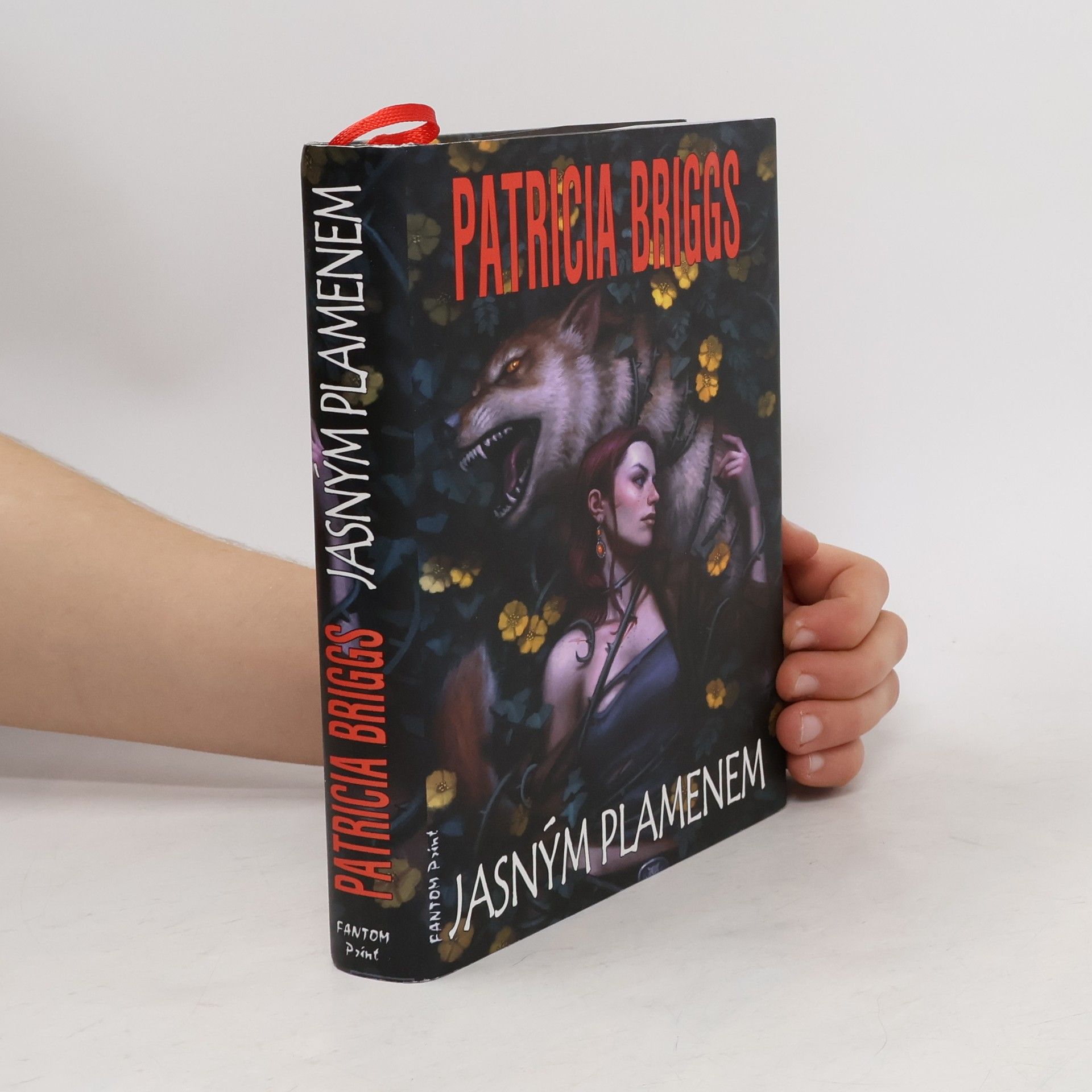 Patricia Briggs Jasným plamenem