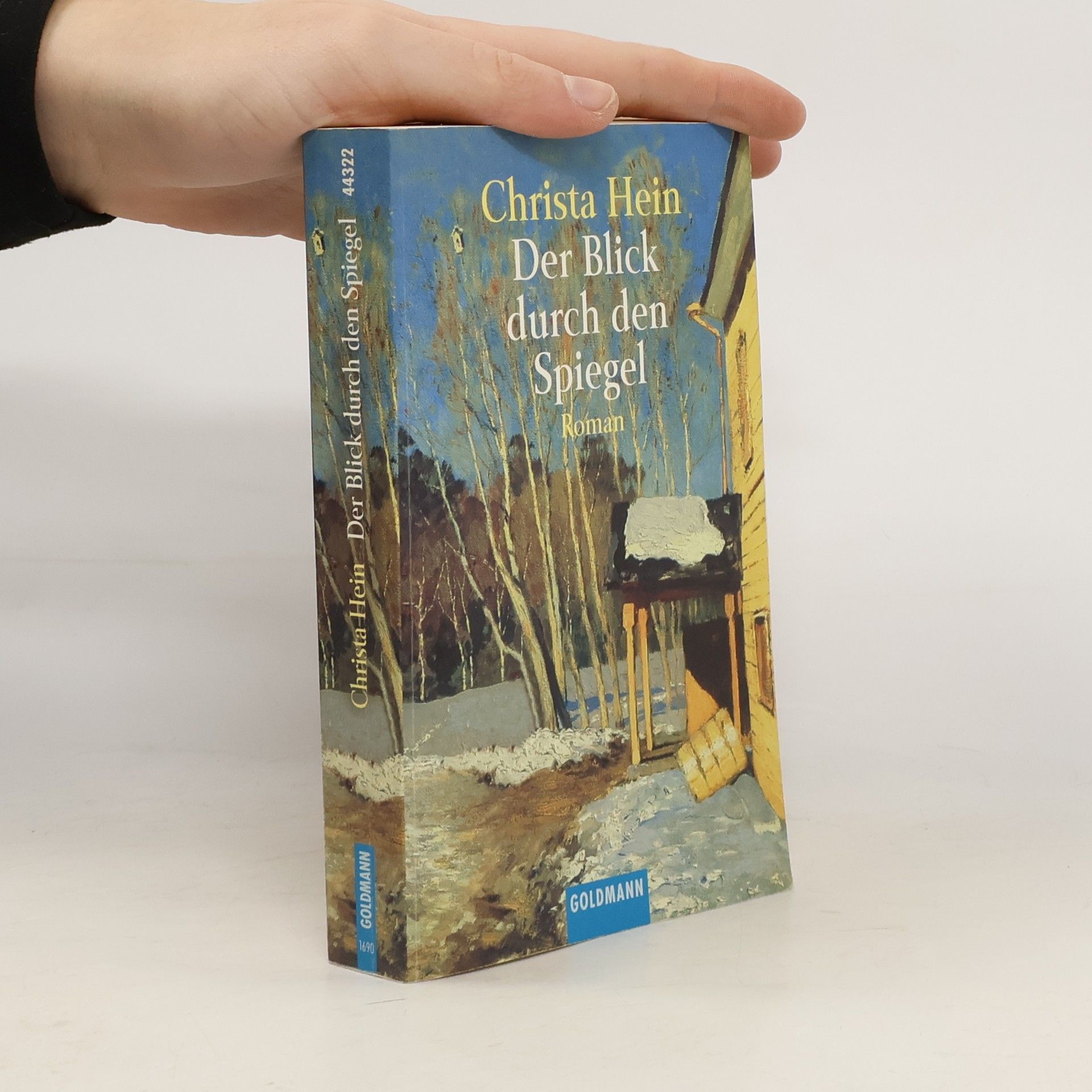 Christa Hein Der Blick durch den Spiegel