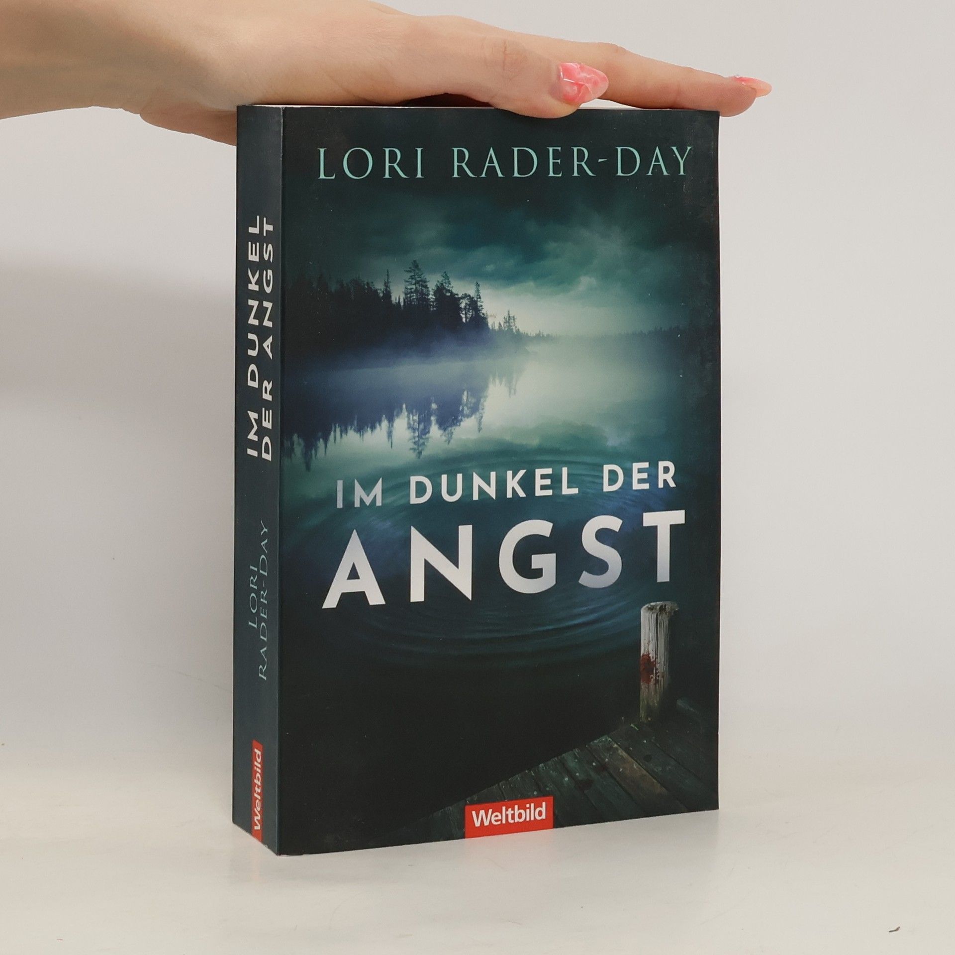 Lori Rader-Day Im Dunkel der Angst