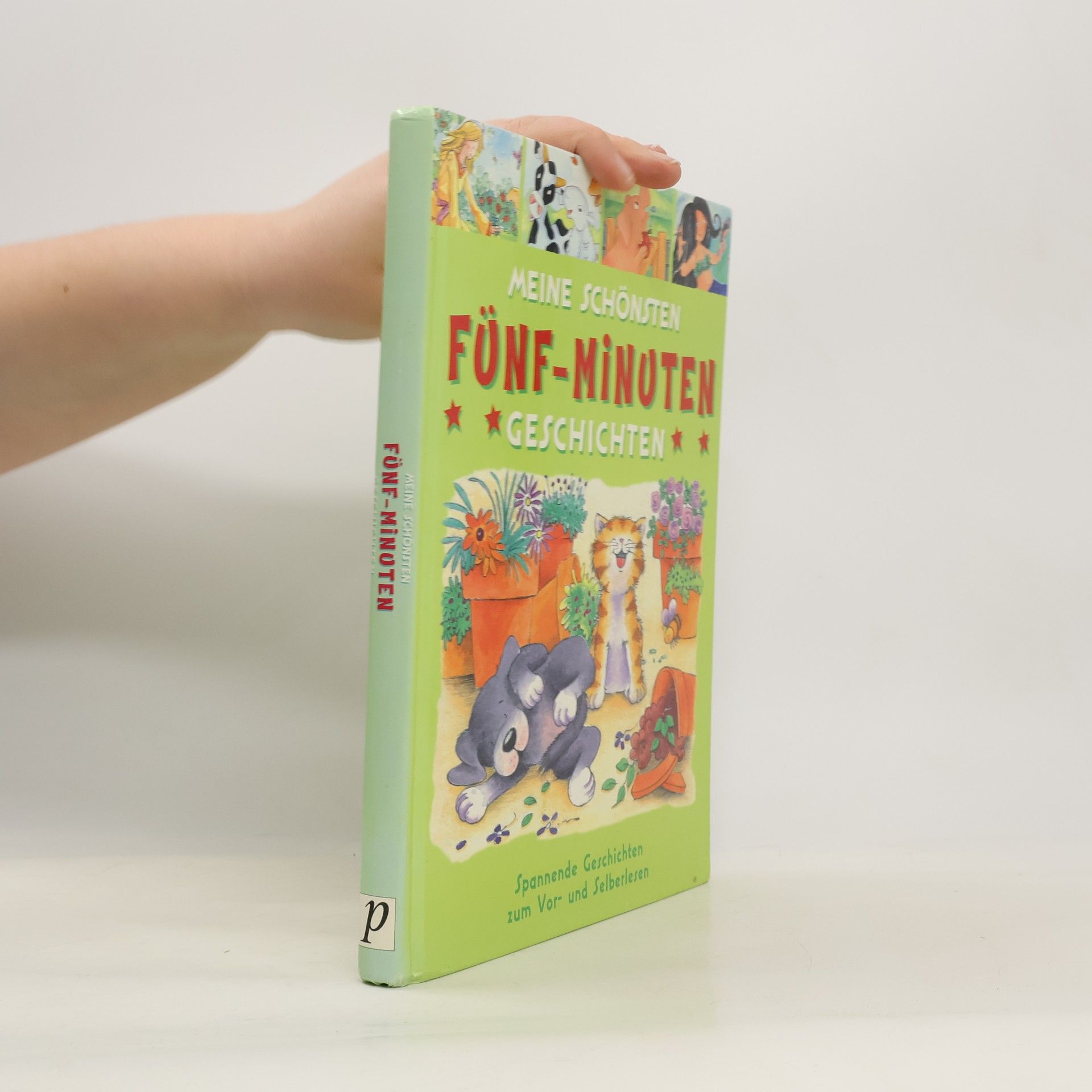 Brigitta Hirt Meine schönsten Fünf-Minuten-Geschichten