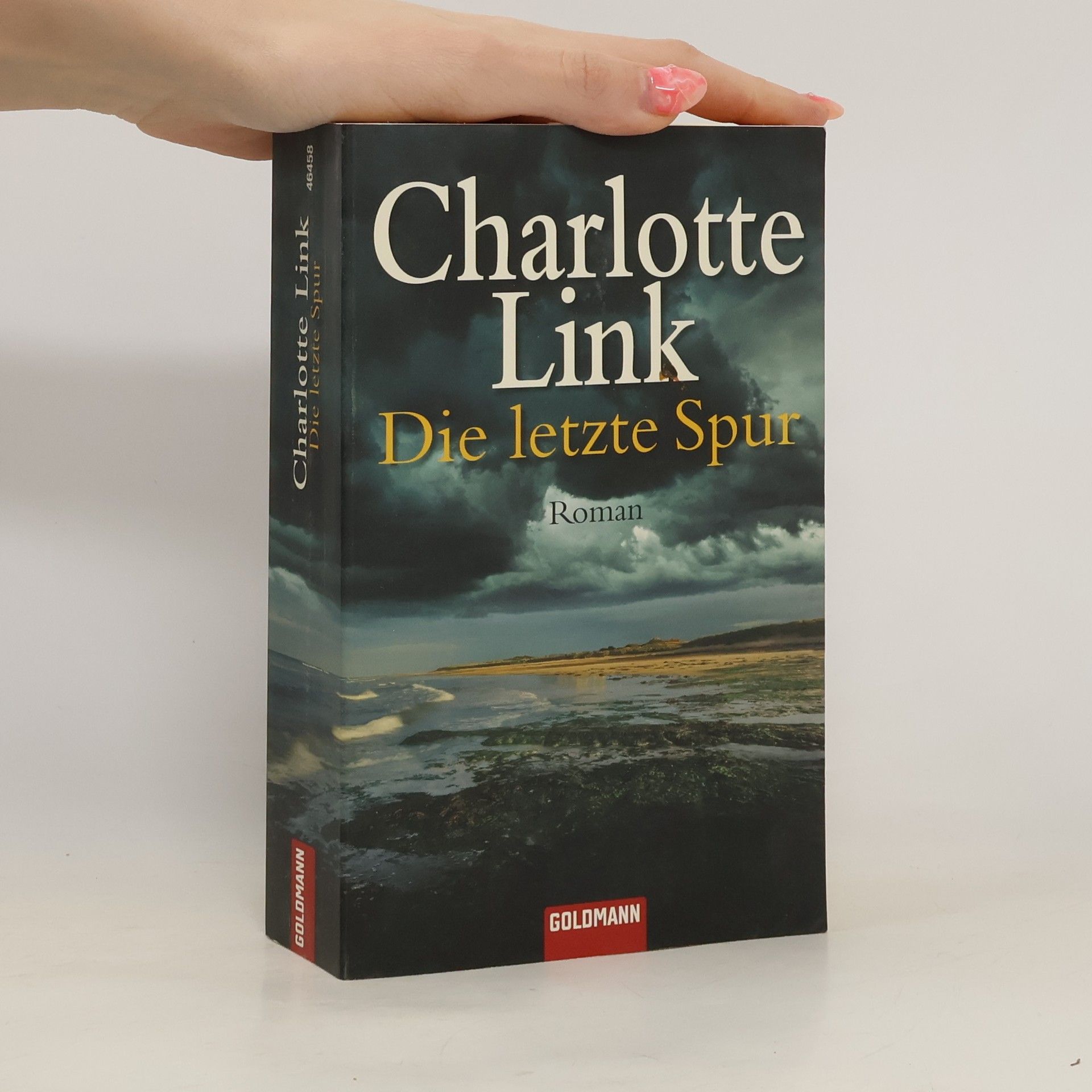 Charlotte Link Die letzte Spur