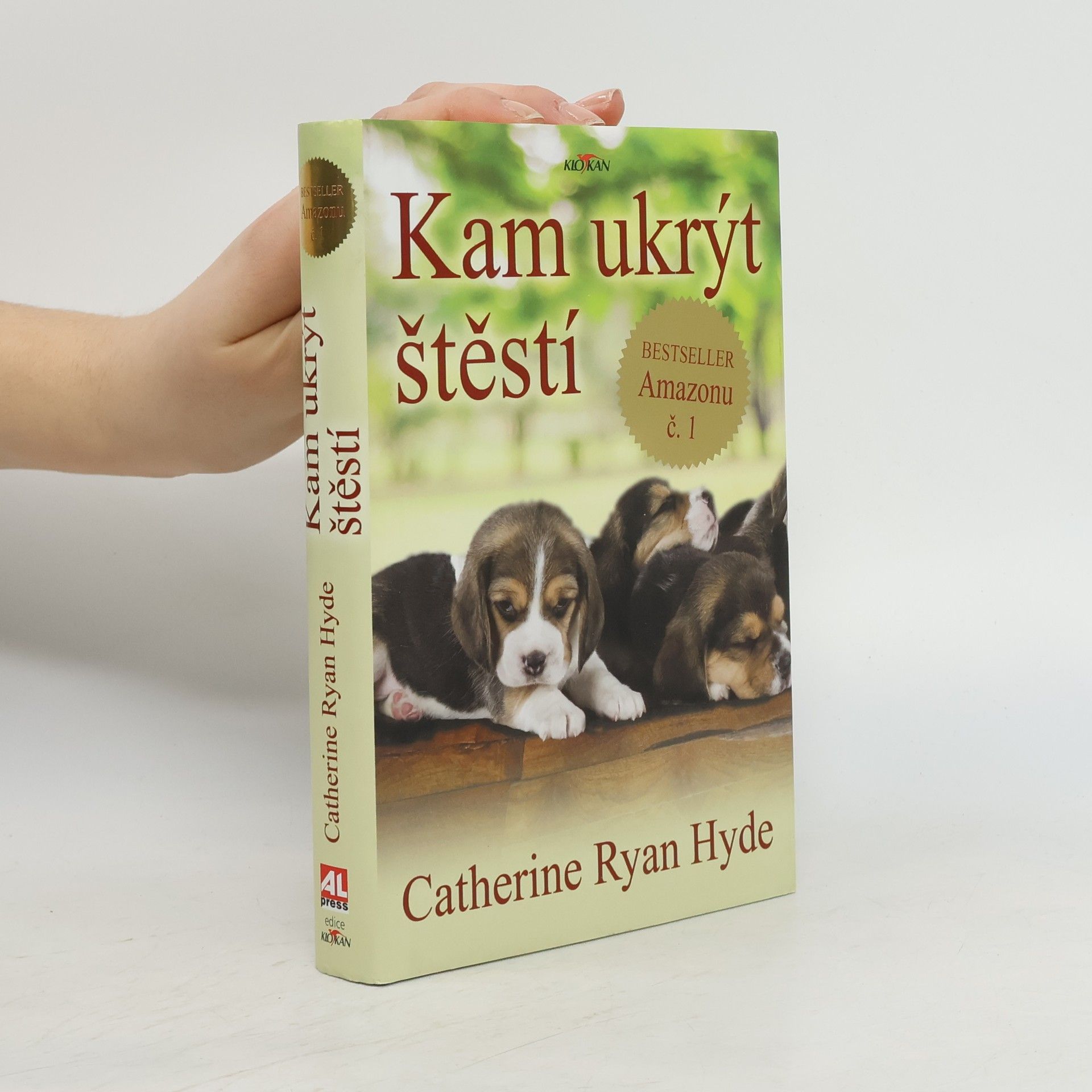 Catherine Ryan Hyde Kam ukrýt štěstí