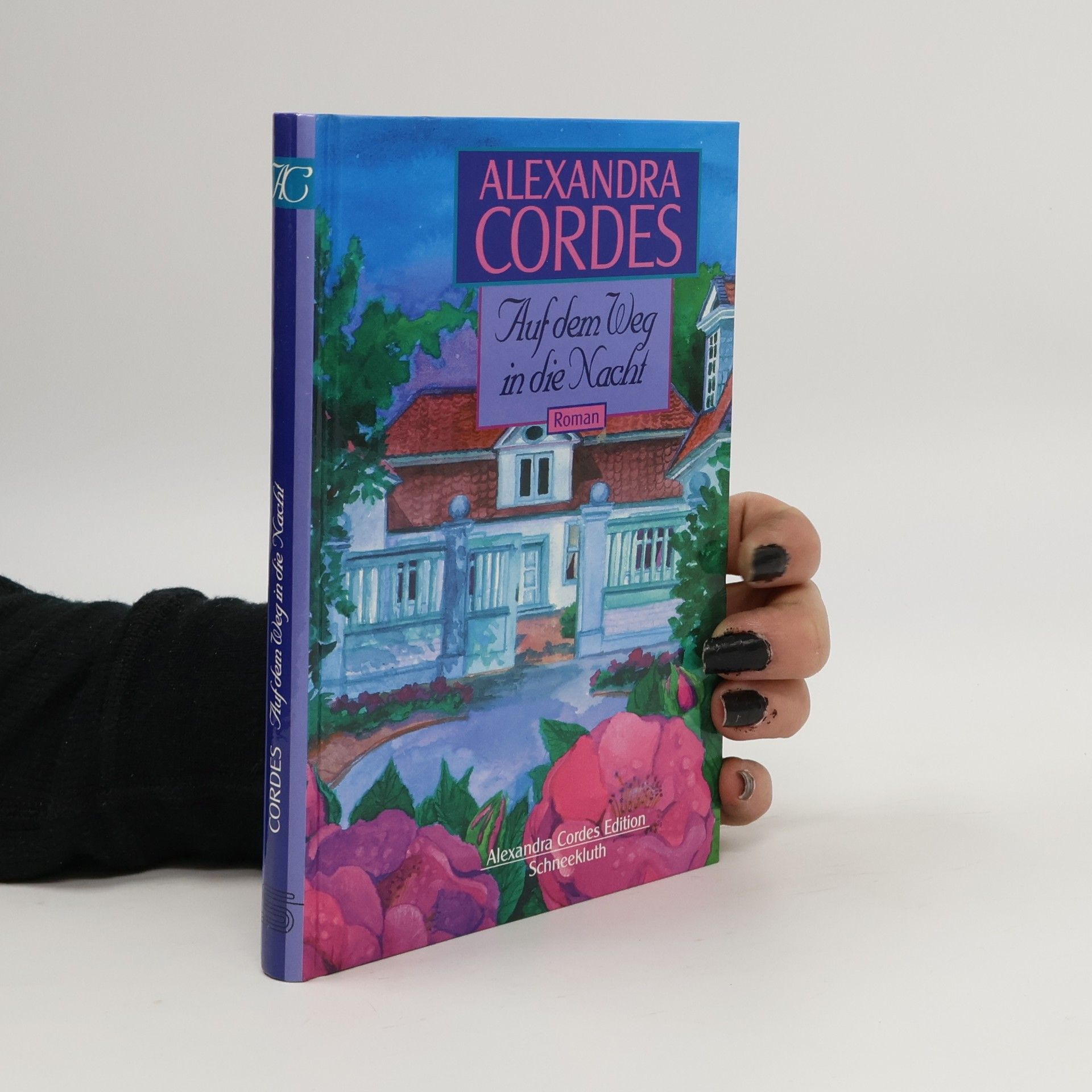 Alexandra Cordes Auf dem Weg in die Nacht