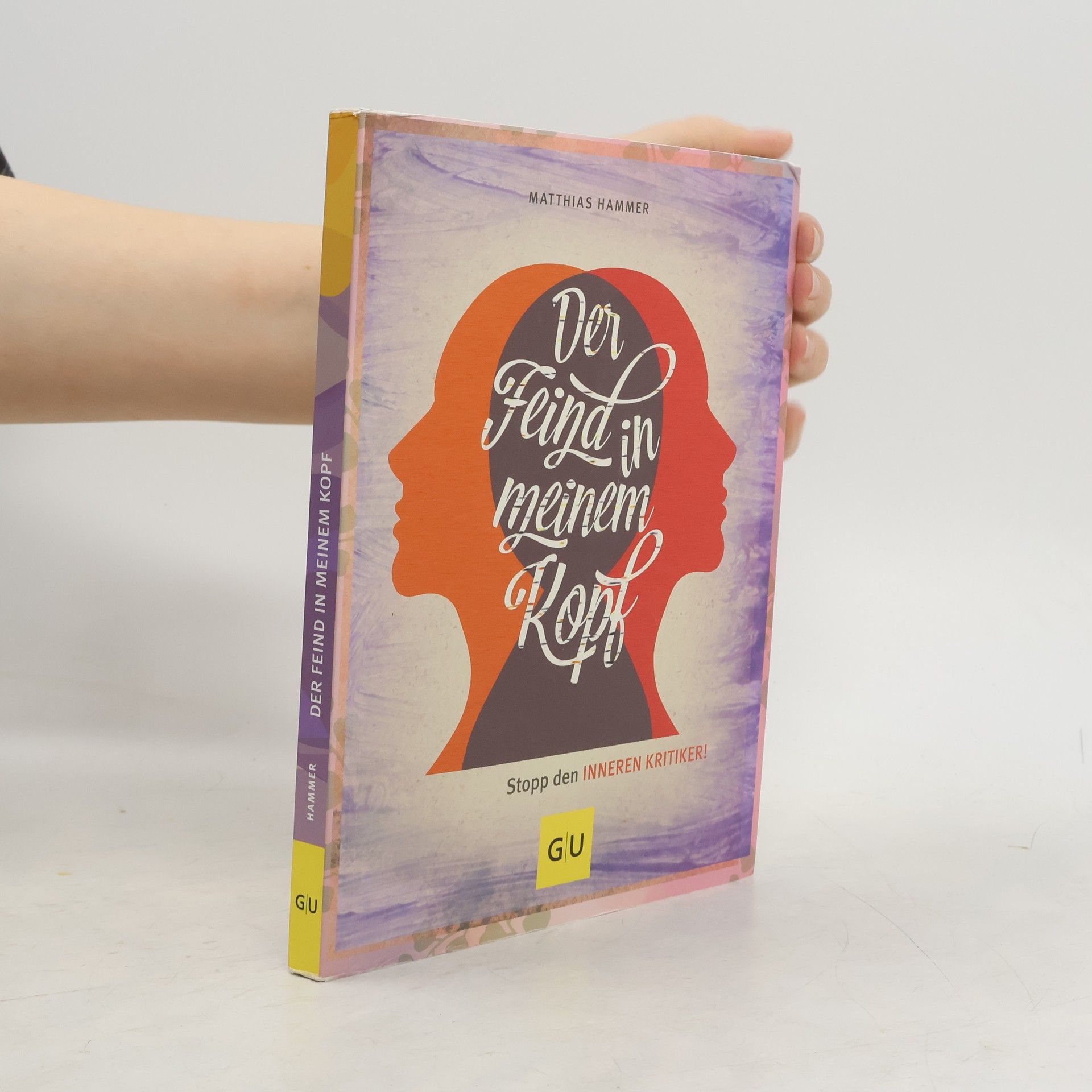 Matthias Hammer Der Feind in meinem Kopf