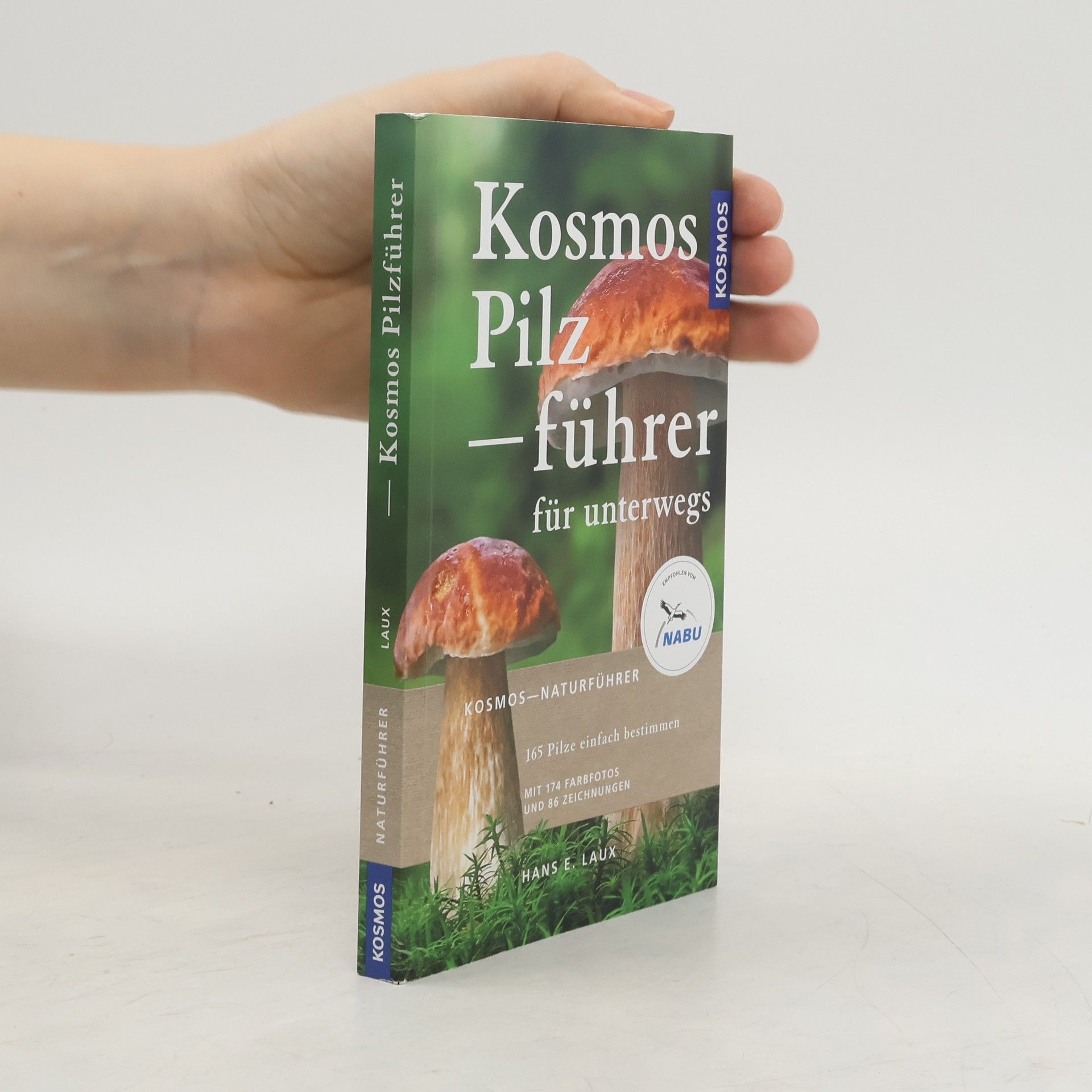 Hans Ernst Laux Kosmos Pilzführer für unterwegs