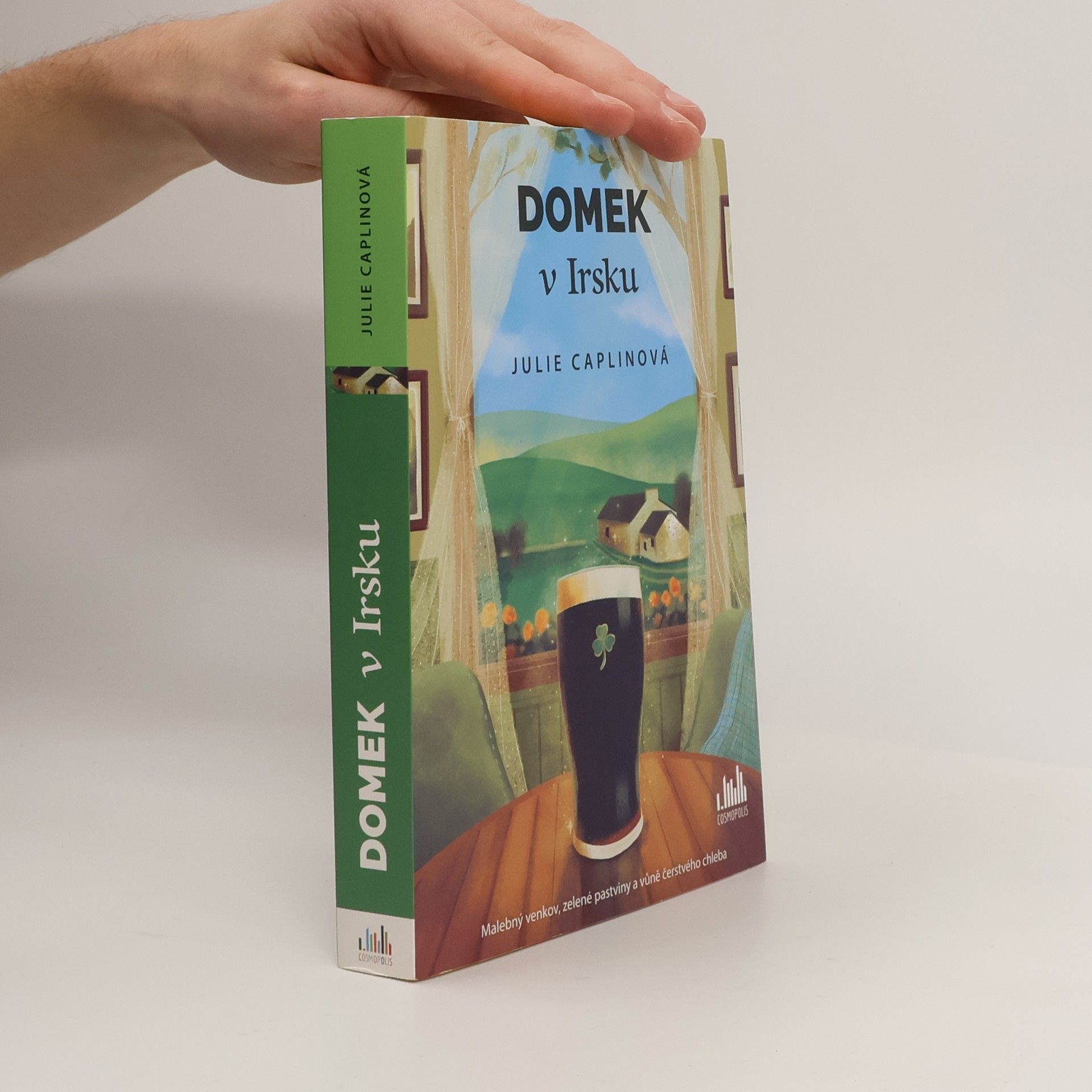 Julie Caplin Domek v Irsku