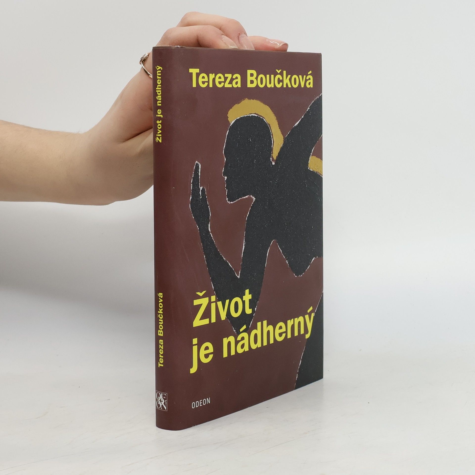 Život je nádherný