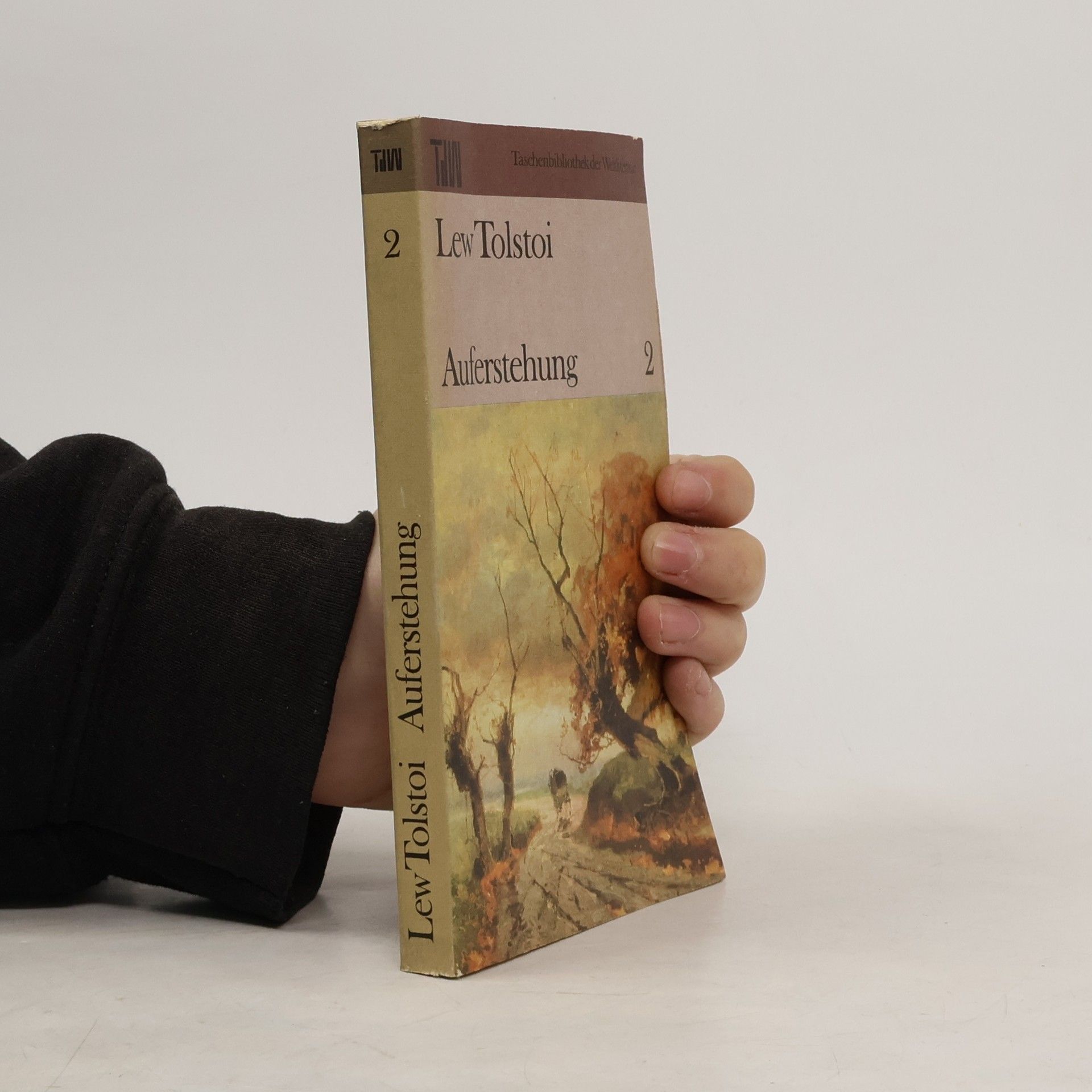 Lew Nikolajewitsch Tolstoi Auferstehung 2