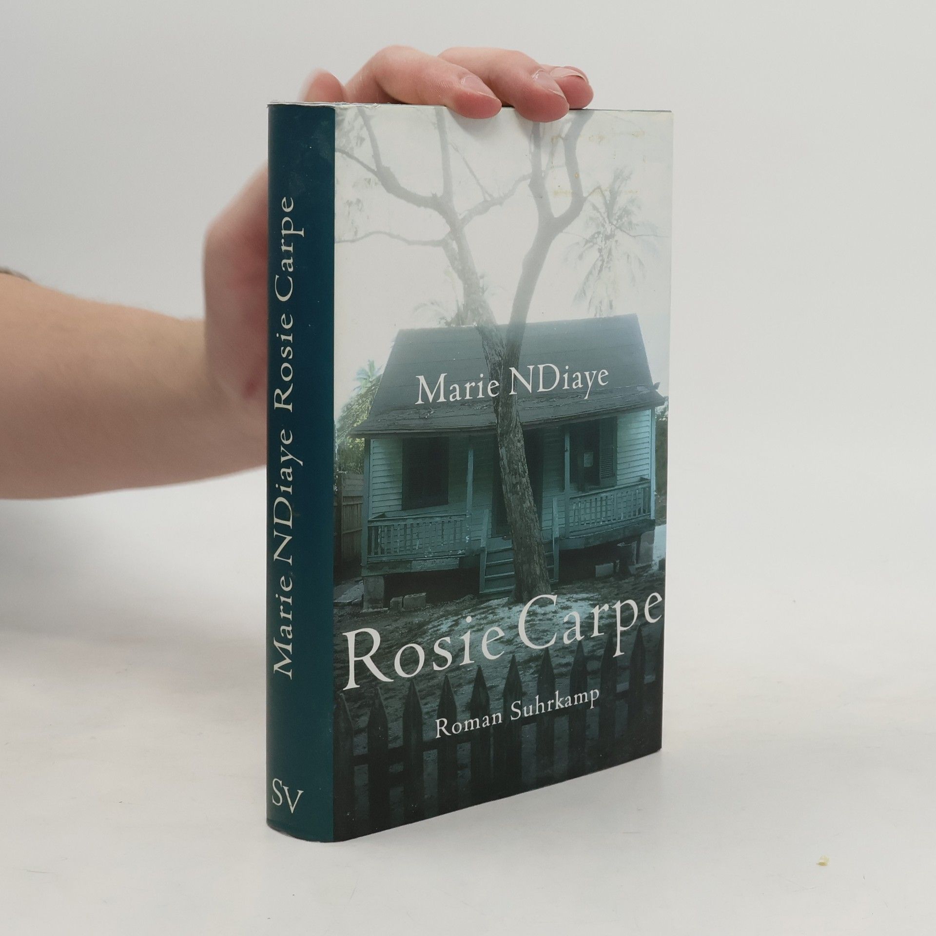 Marie Ndiaye Rosie Carpe