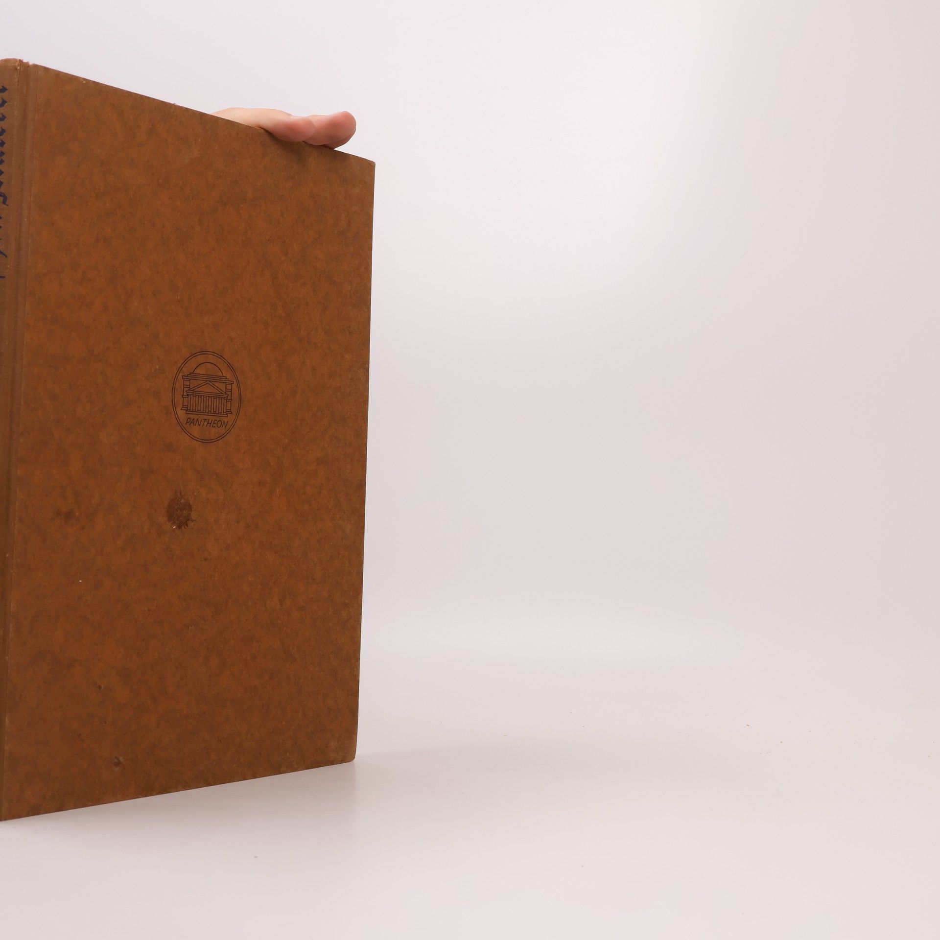 Wolfgang Schöne Die großen Meister der niederländischen Malerei des 15. Jahrhunderts