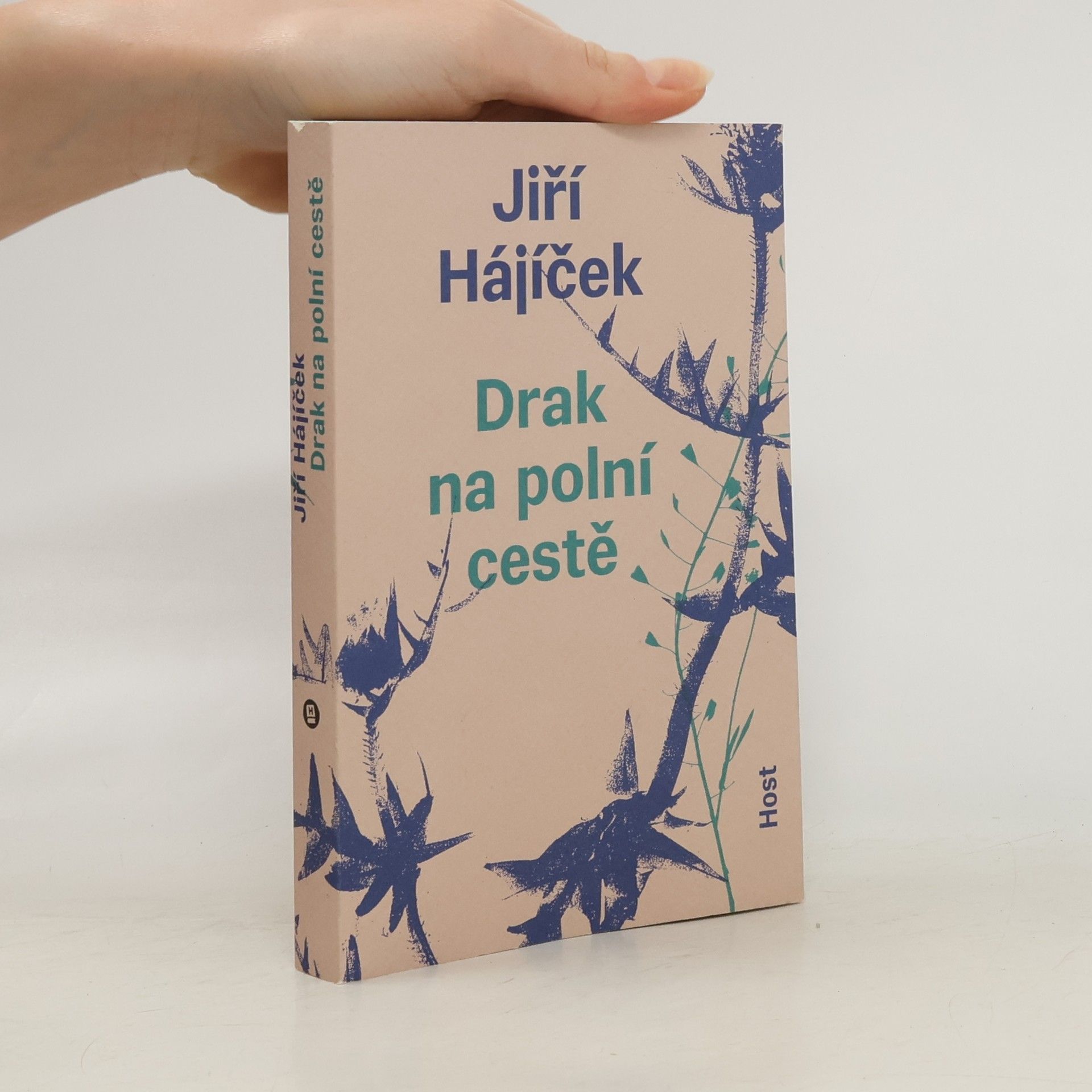 Jiří Hájíček Drak na polní cestě