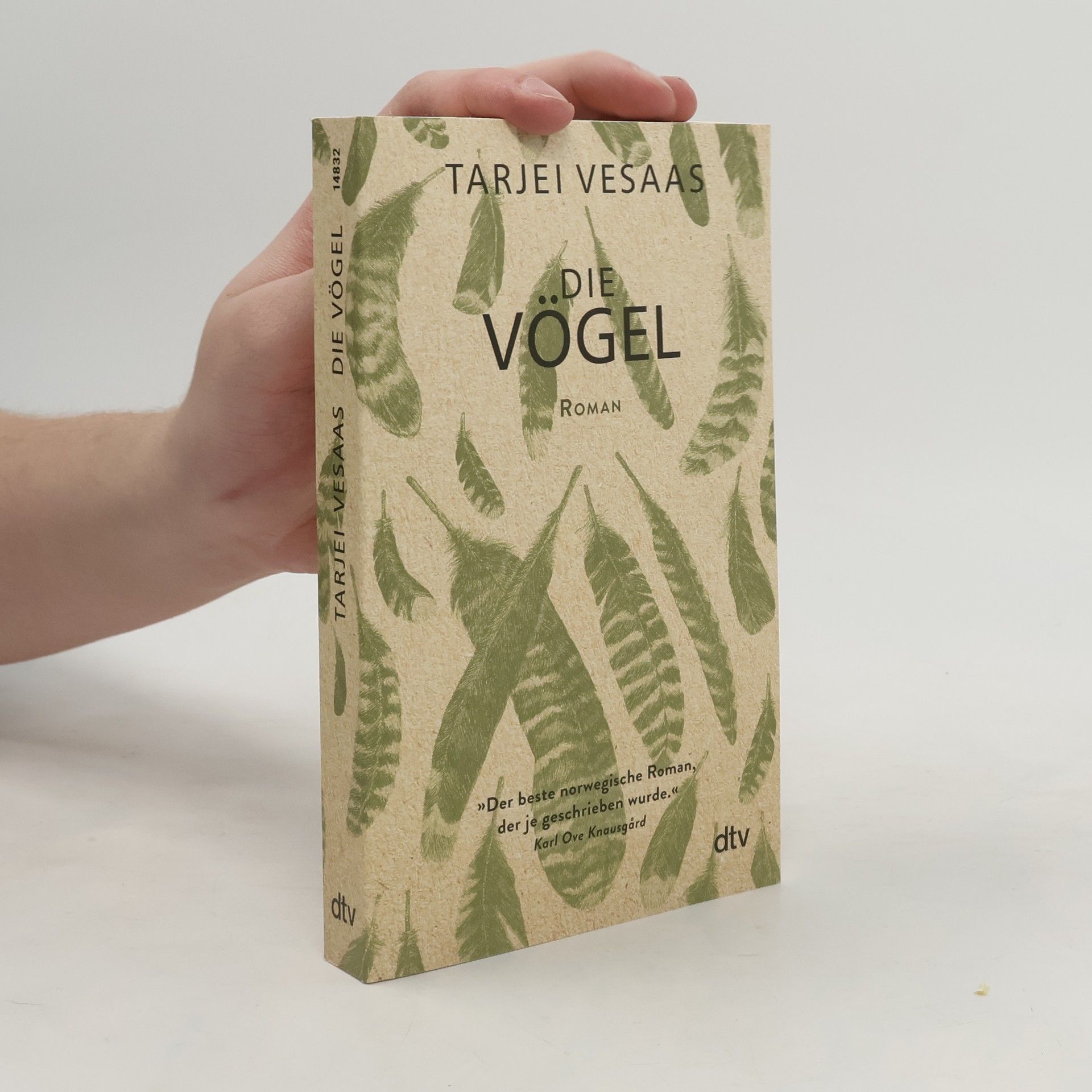 Tarjei Vesaas Die Vögel