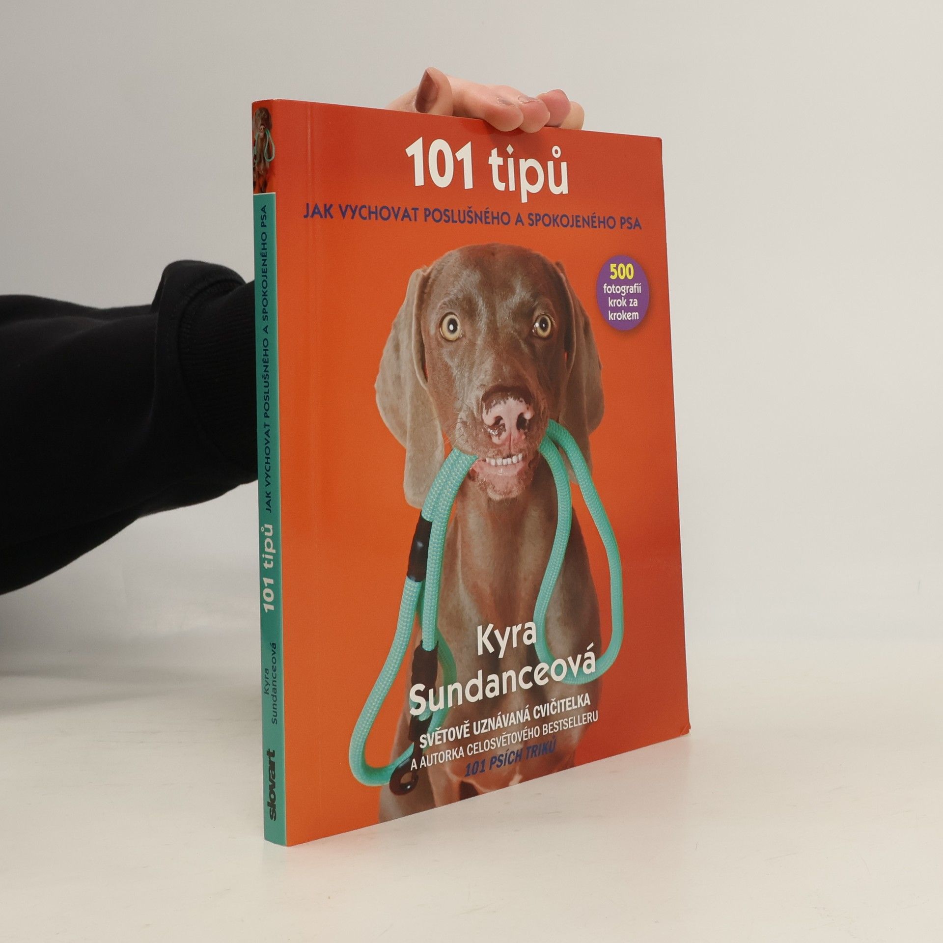 Kyra Sundance 101 tipů jak vychovat poslušného a spokojeného psa