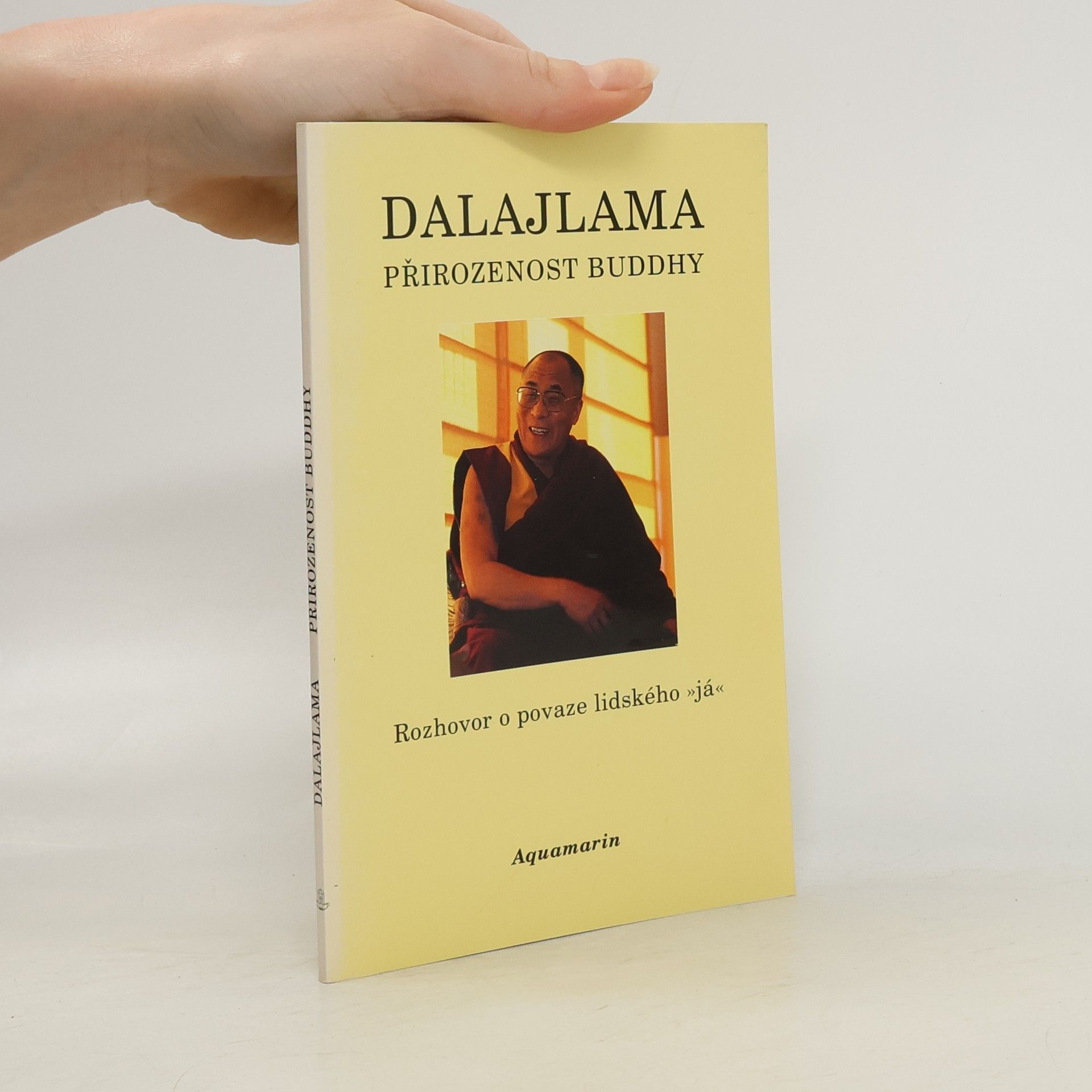 Bstan\'dzinrgyamtsho Přirozenost Buddhy. Rozhovor o povaze lidského "já"
