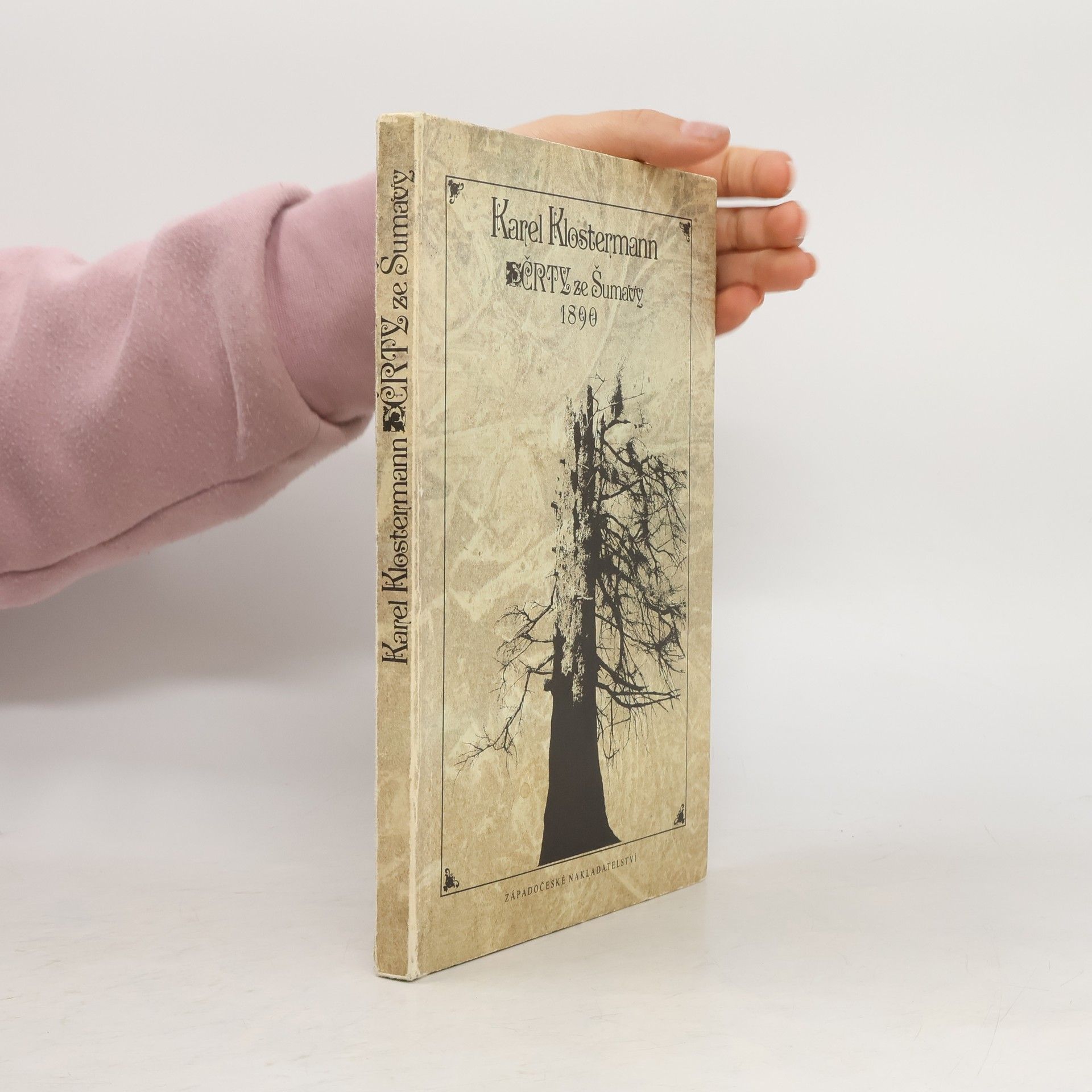 Karel Klostermann Črty ze Šumavy 1890