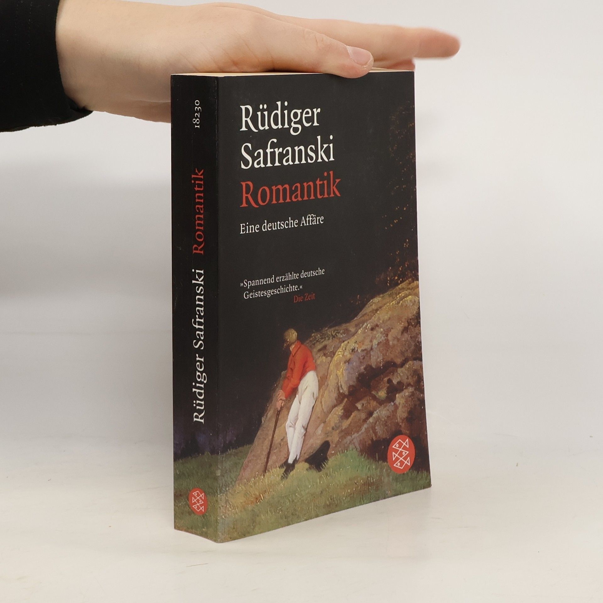 Rüdiger Safranski Romantik