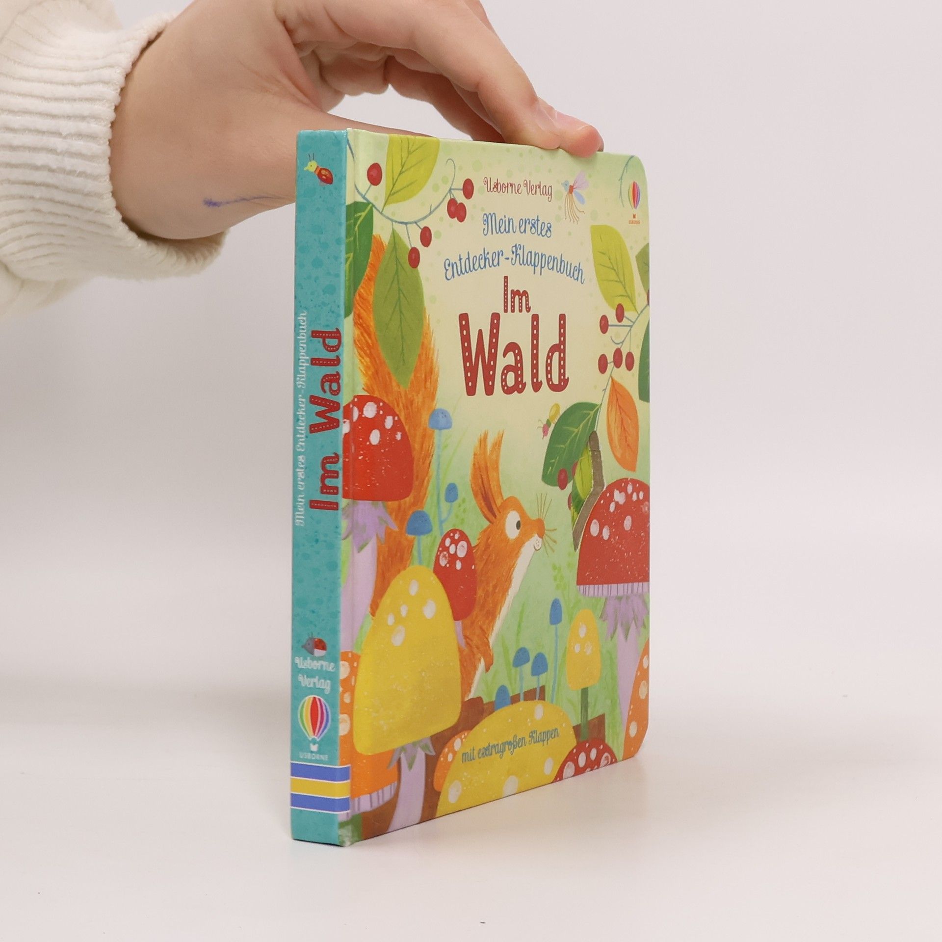 Anna Milbourne Mein erstes Entdecker-Klappenbuch: im Wald