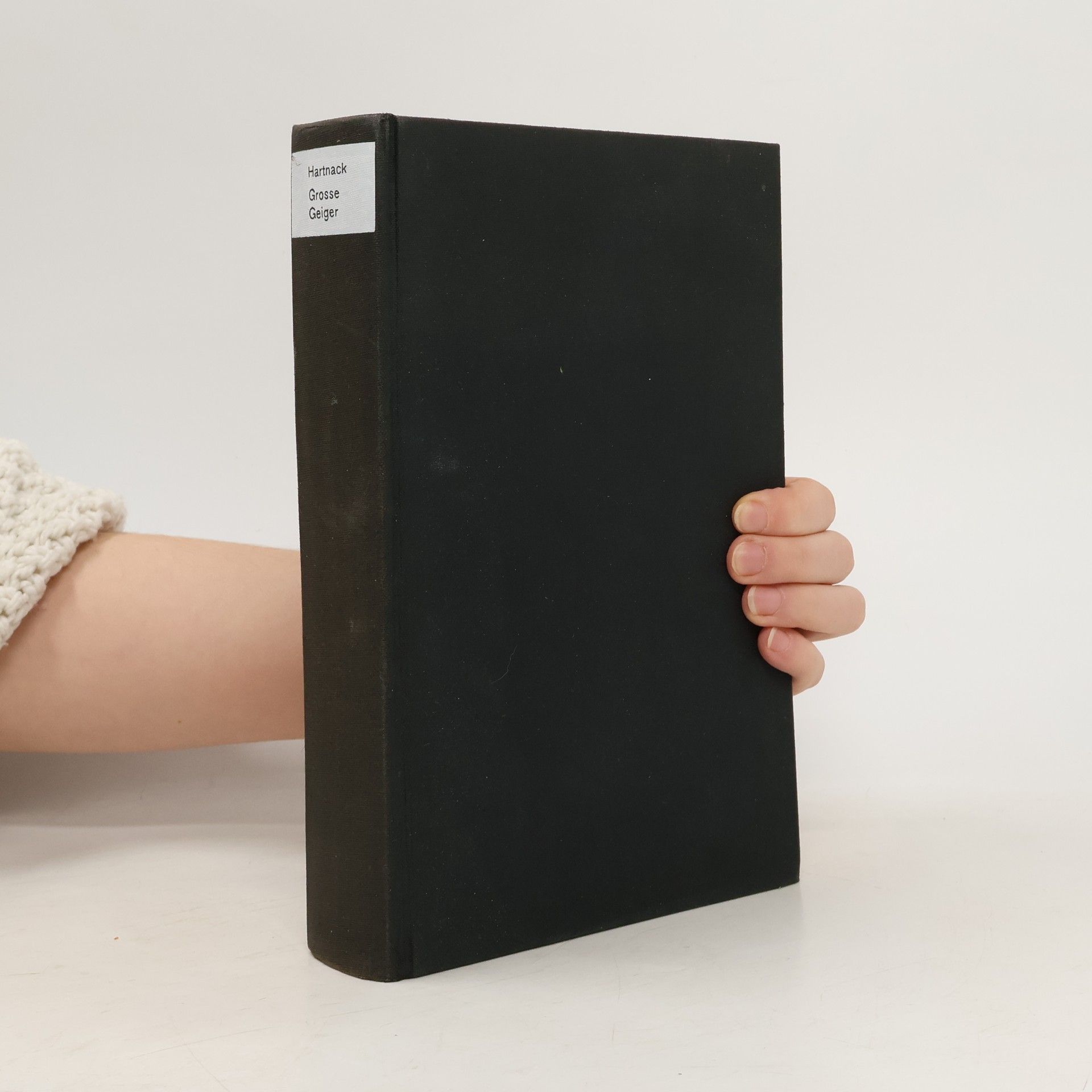 Joachim Hartnack Große Geiger unserer Zeit