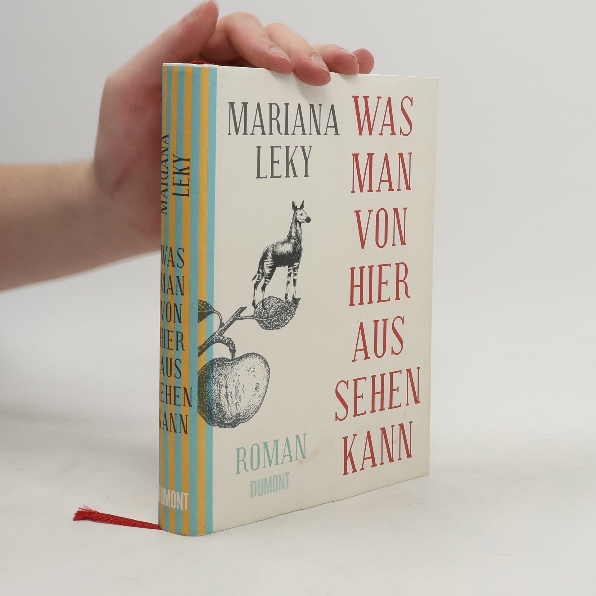 Mariana Leky Was man von hier aus sehen kann