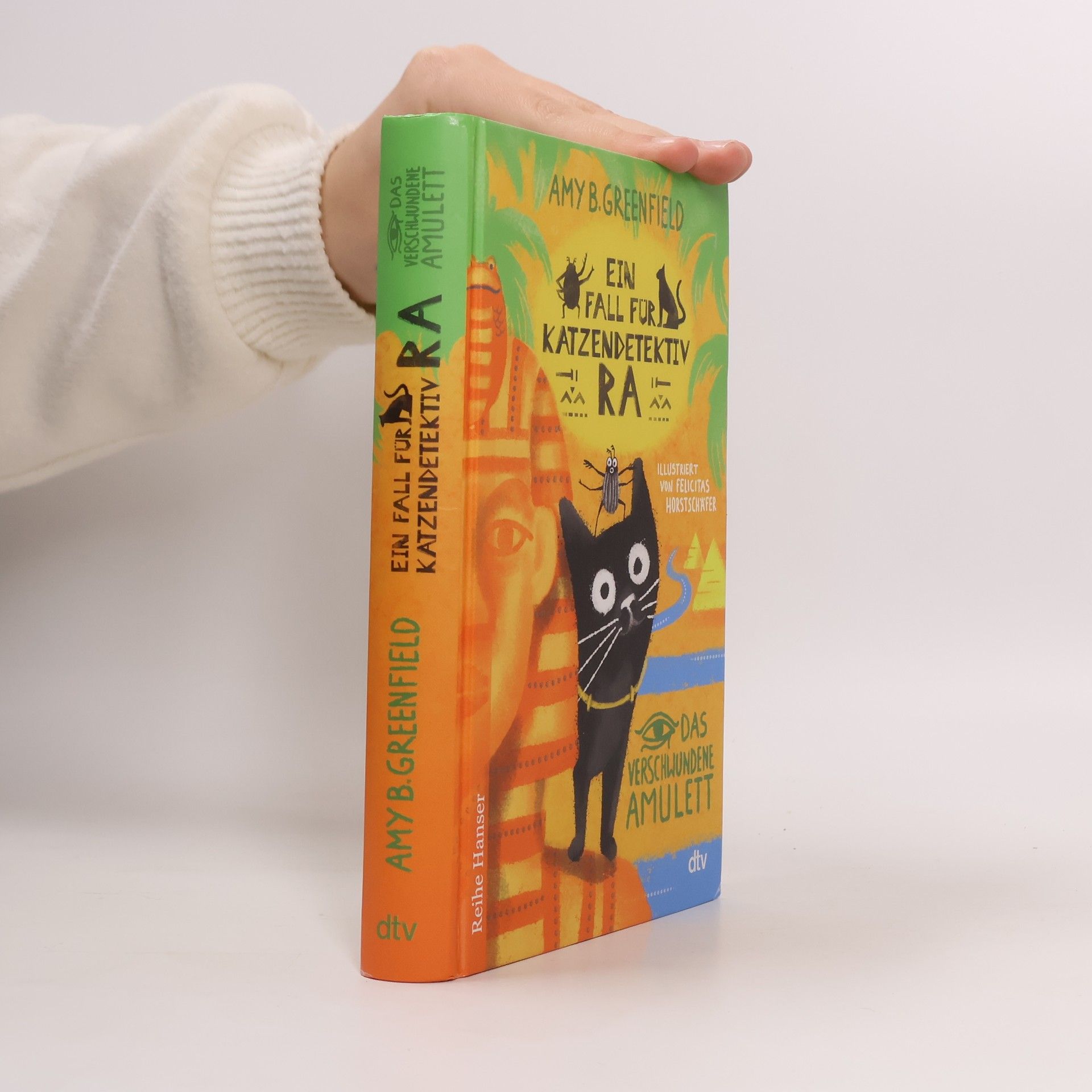 Amy Greenfield B. Ein Fall für Katzendetektiv Ra, Das verschwundene Amulett