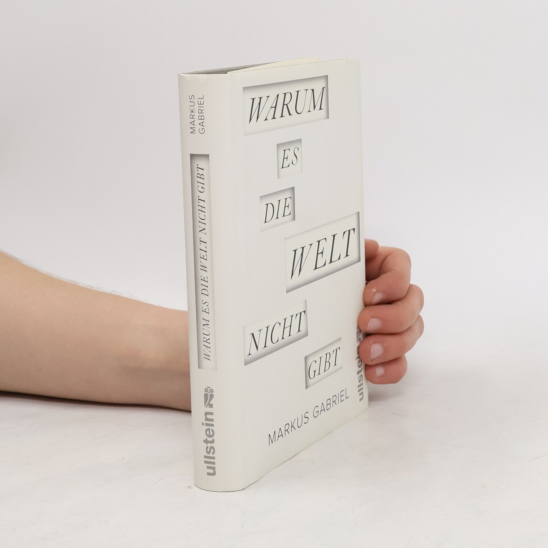 Markus Gabriel Warum es die Welt nicht gibt