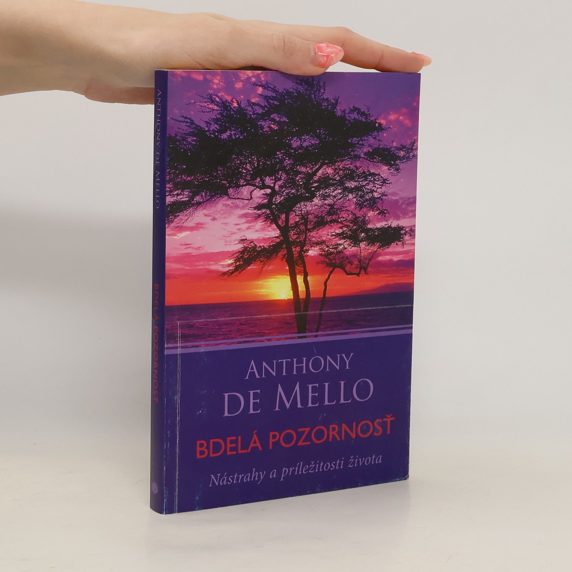 Anthony De Mello Bdelá pozornosť